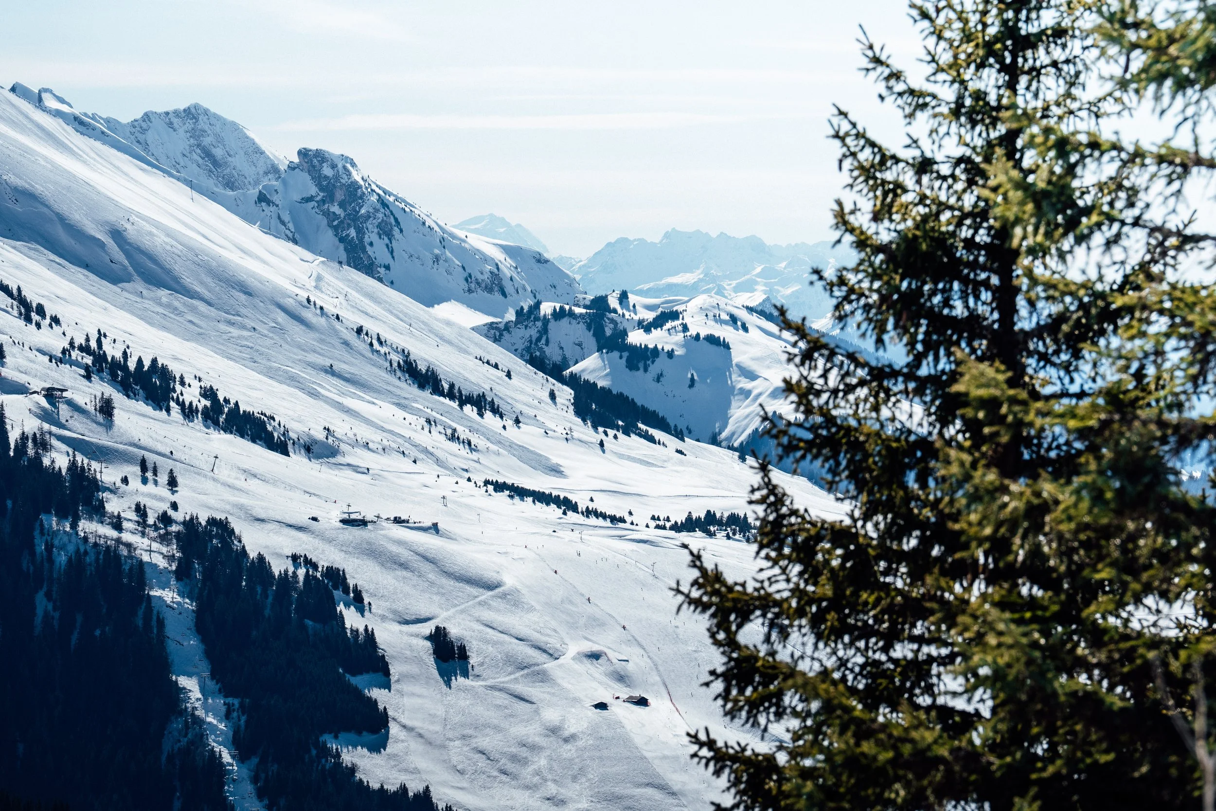 LaClusaz_Hiver_2025-2026_Relief-27.jpg