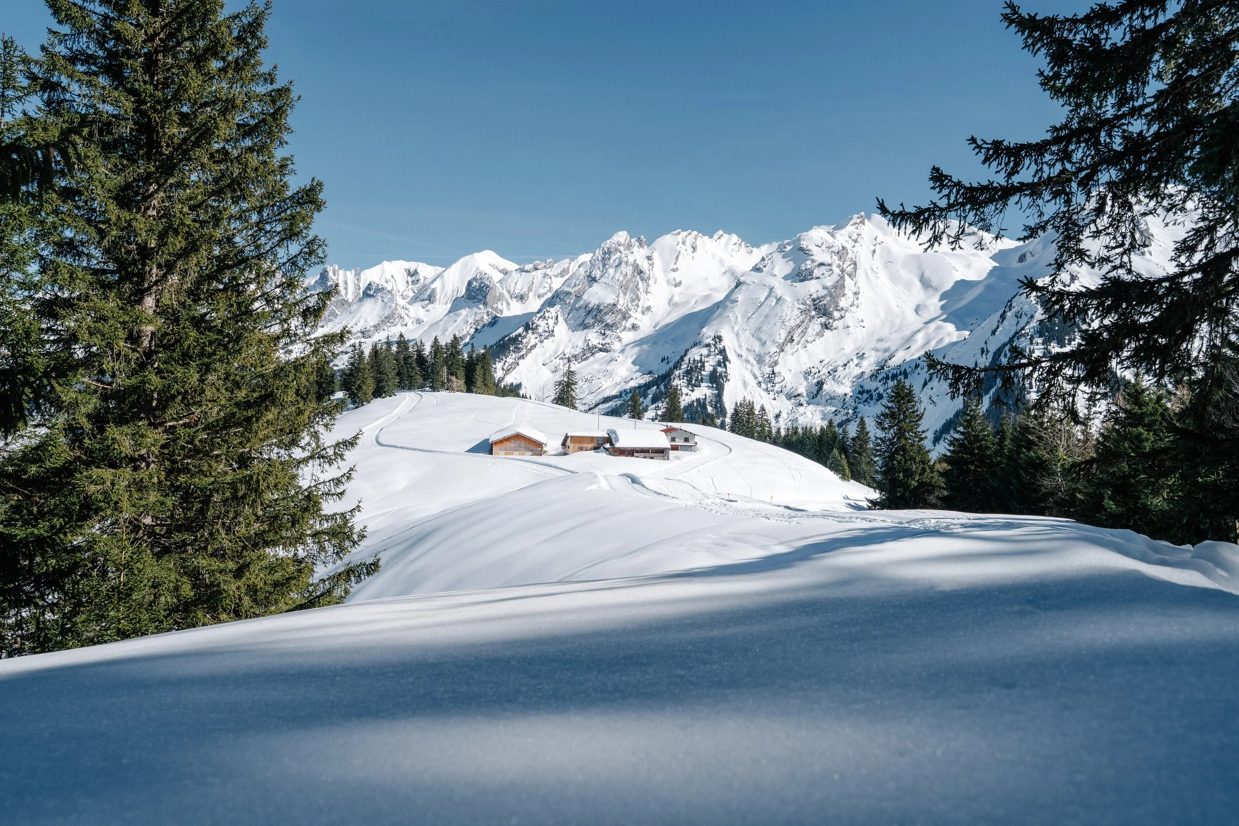 LaClusaz_Hiver_2025-2026_Relief-31.jpg