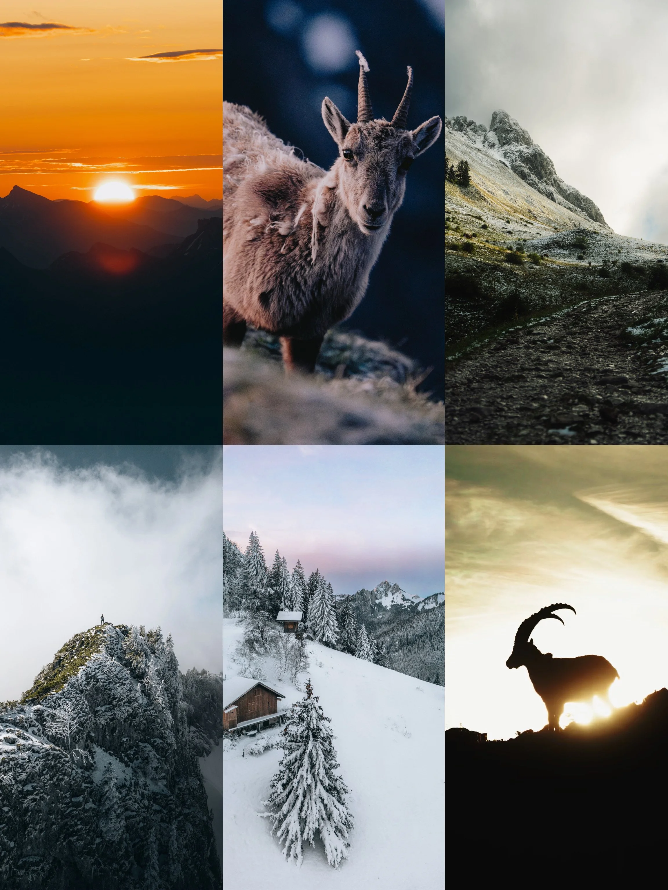 Limité - Photo au choix