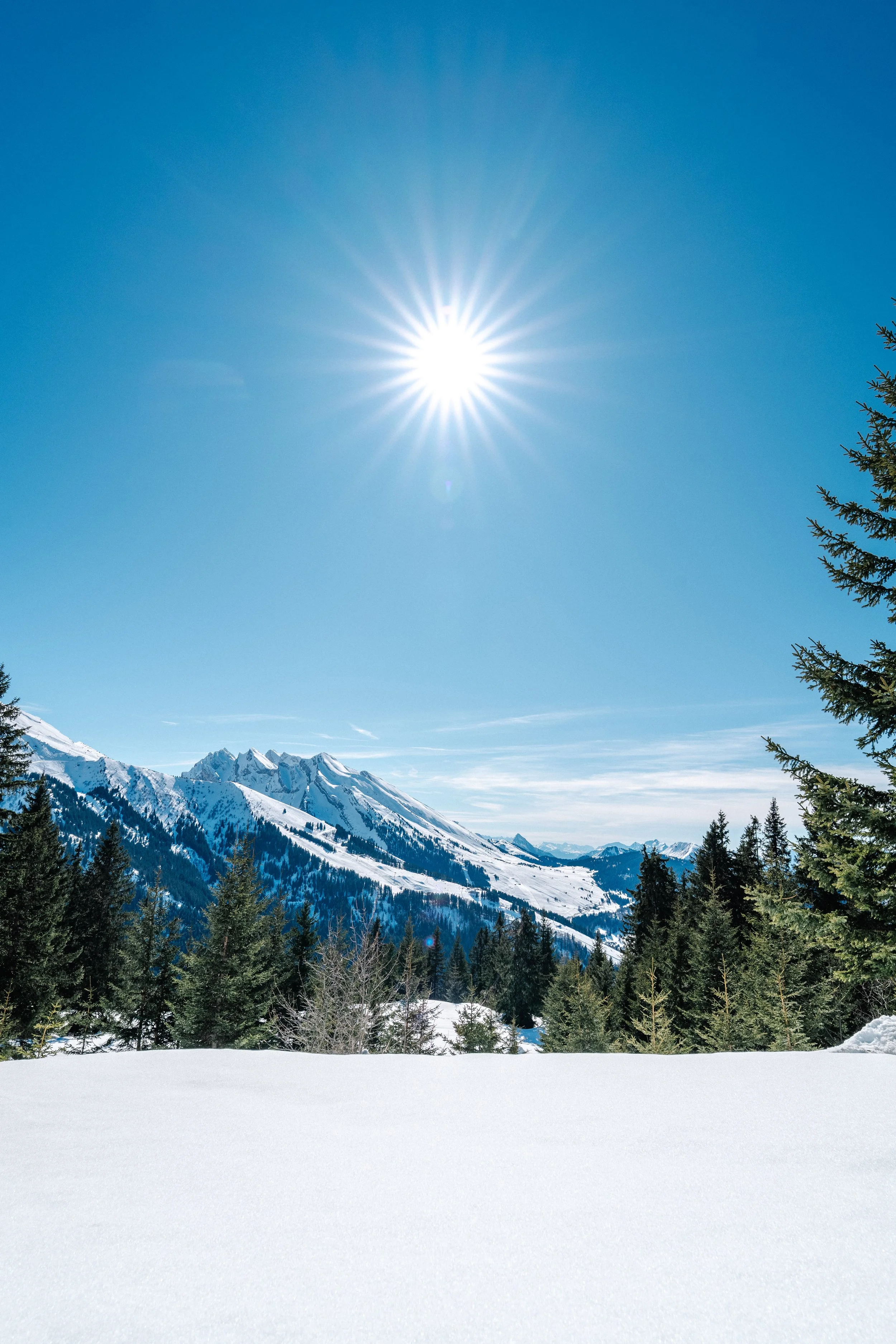 LaClusaz_Hiver_2025-2026_Relief-29.jpg