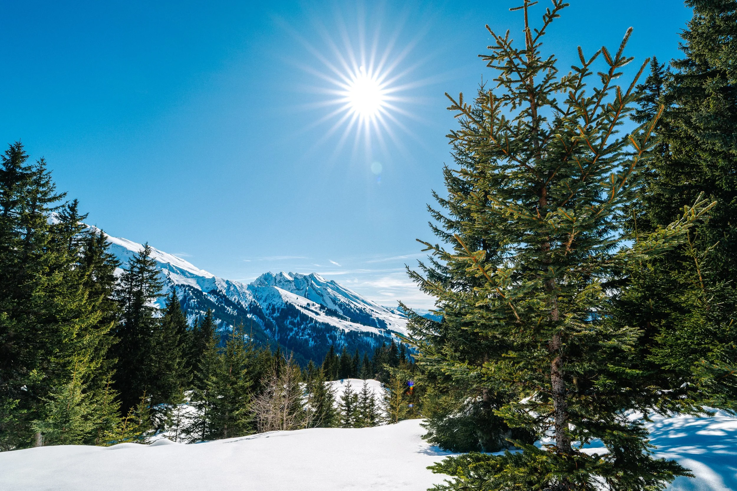 LaClusaz_Hiver_2025-2026_Relief-28.jpg