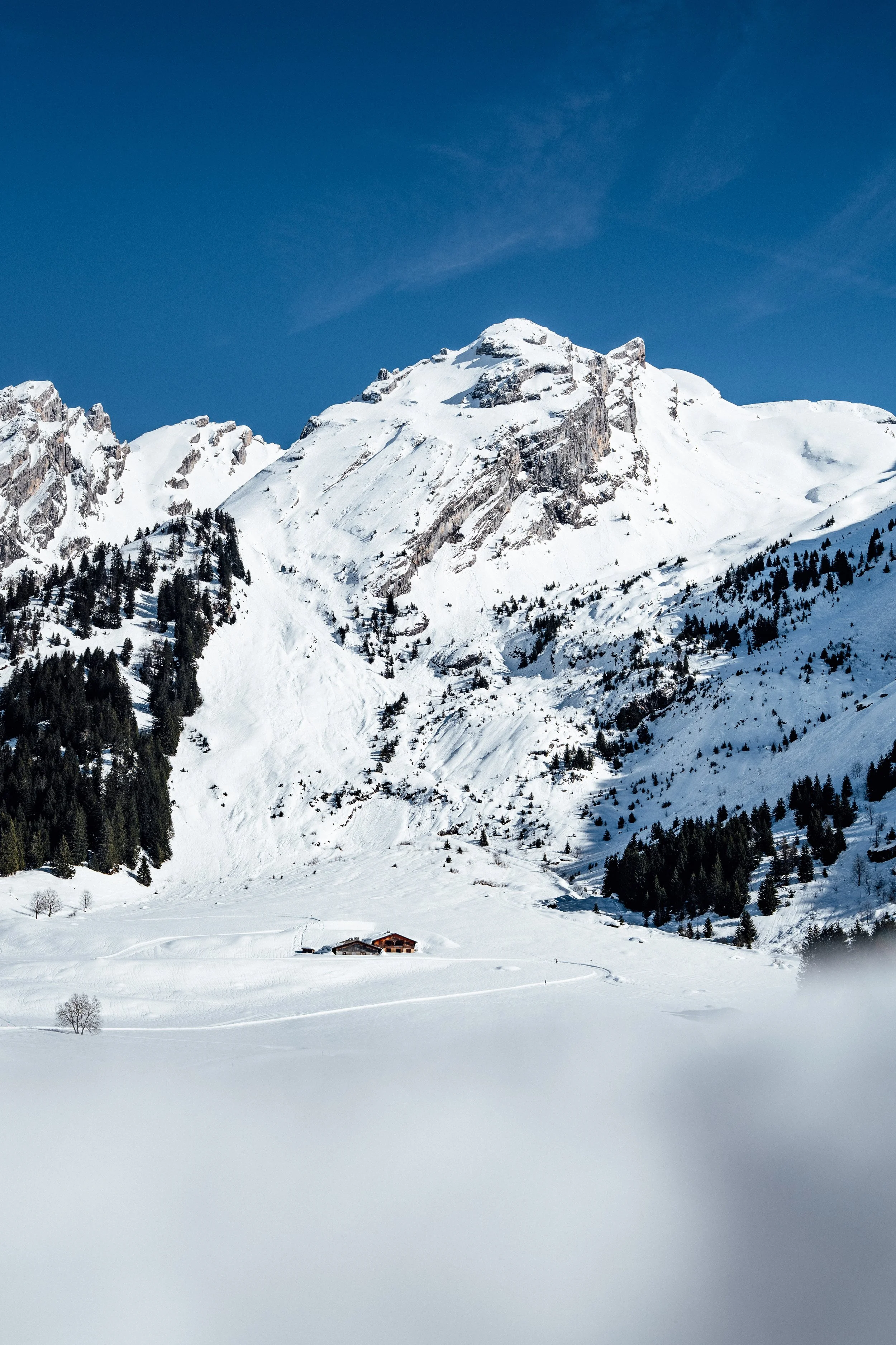 LaClusaz_Hiver_2025-2026_Relief-35.jpg