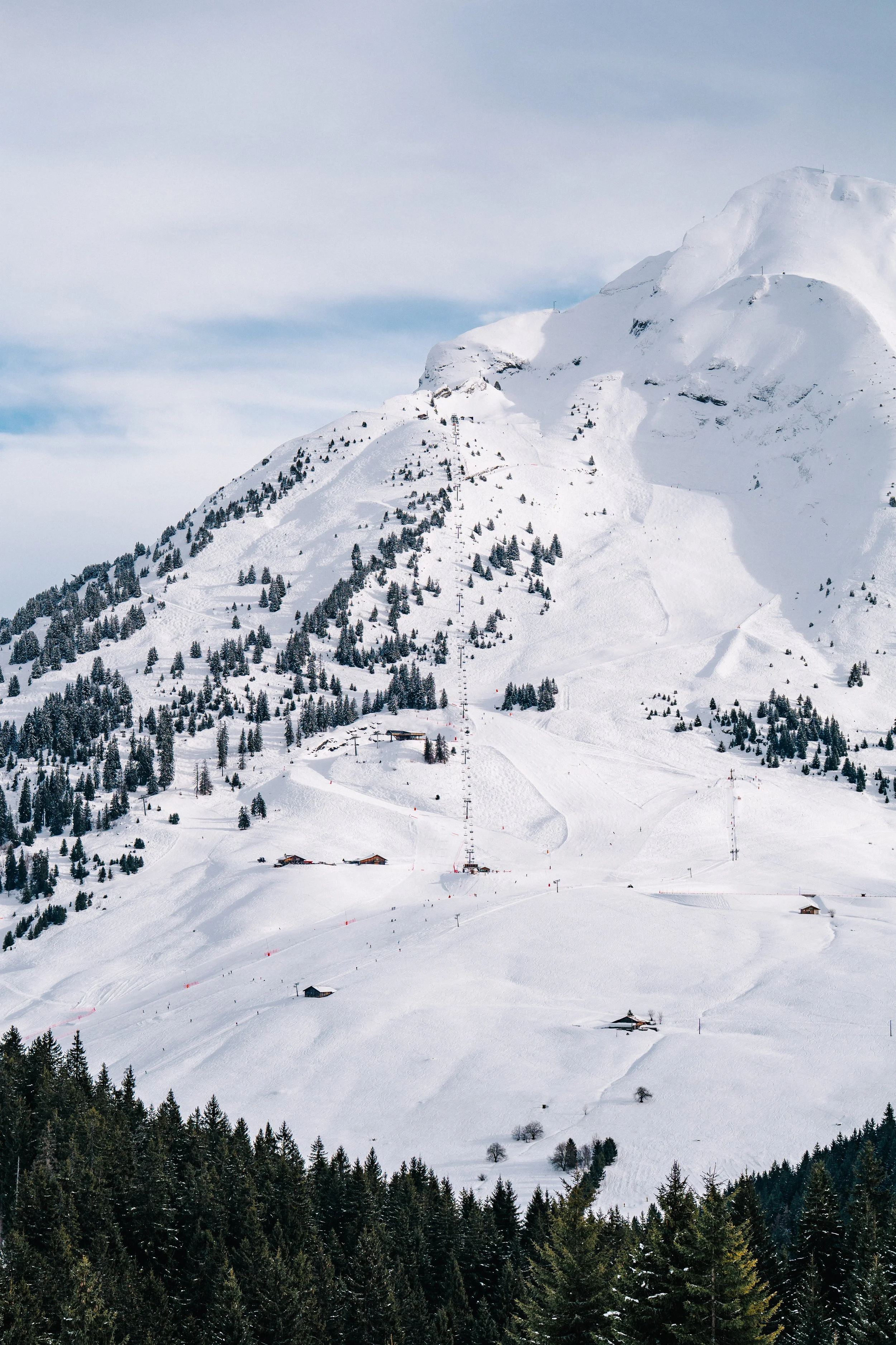 LaClusaz_Hiver_2025-2026_Relief-5.jpg