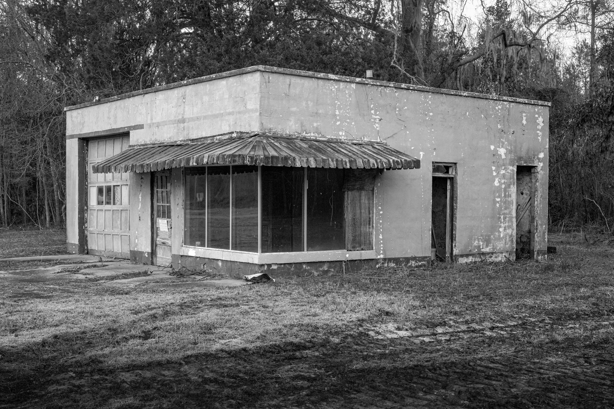 Winter Wander 2026-1190119.jpg