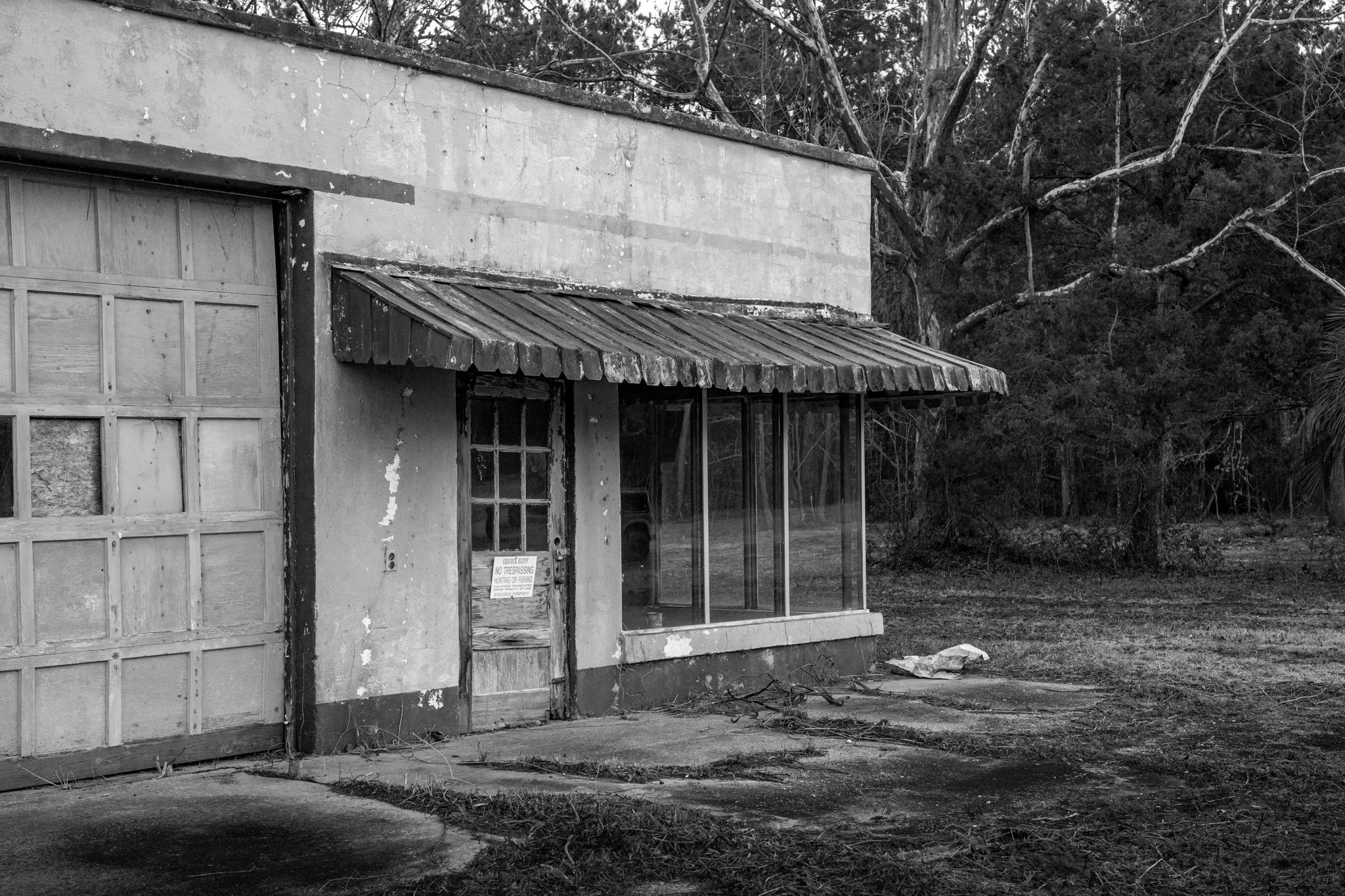 Winter Wander 2026-1140114.jpg