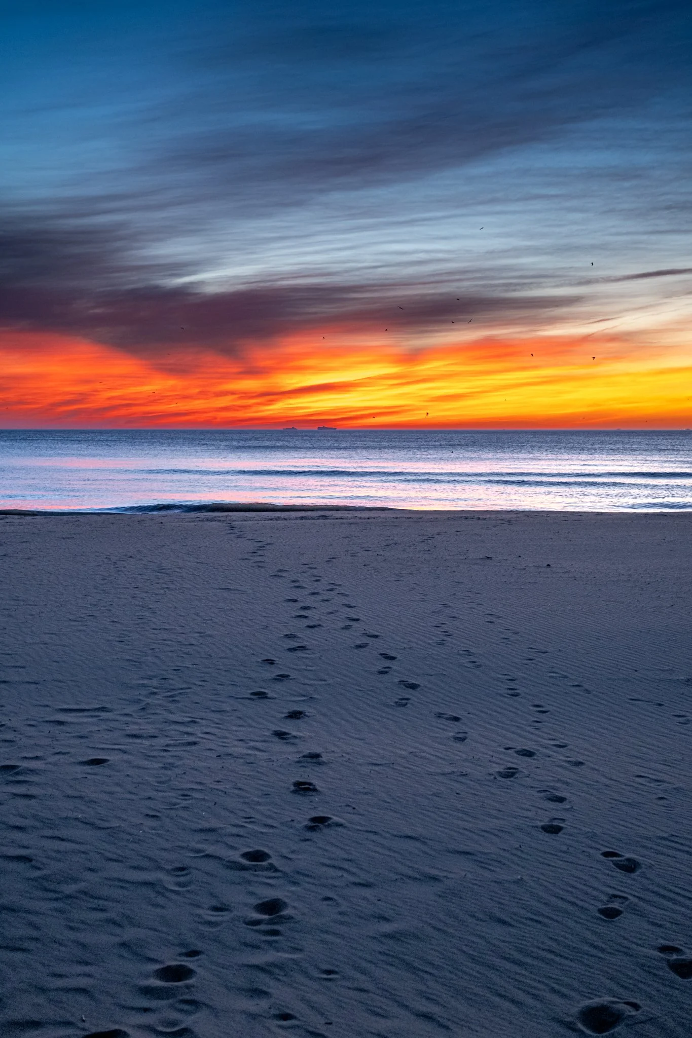 Winter Wander 2026-9800980.jpg