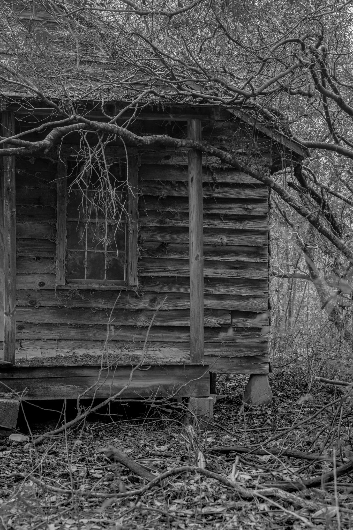 Winter Wander 2026-2420242.jpg