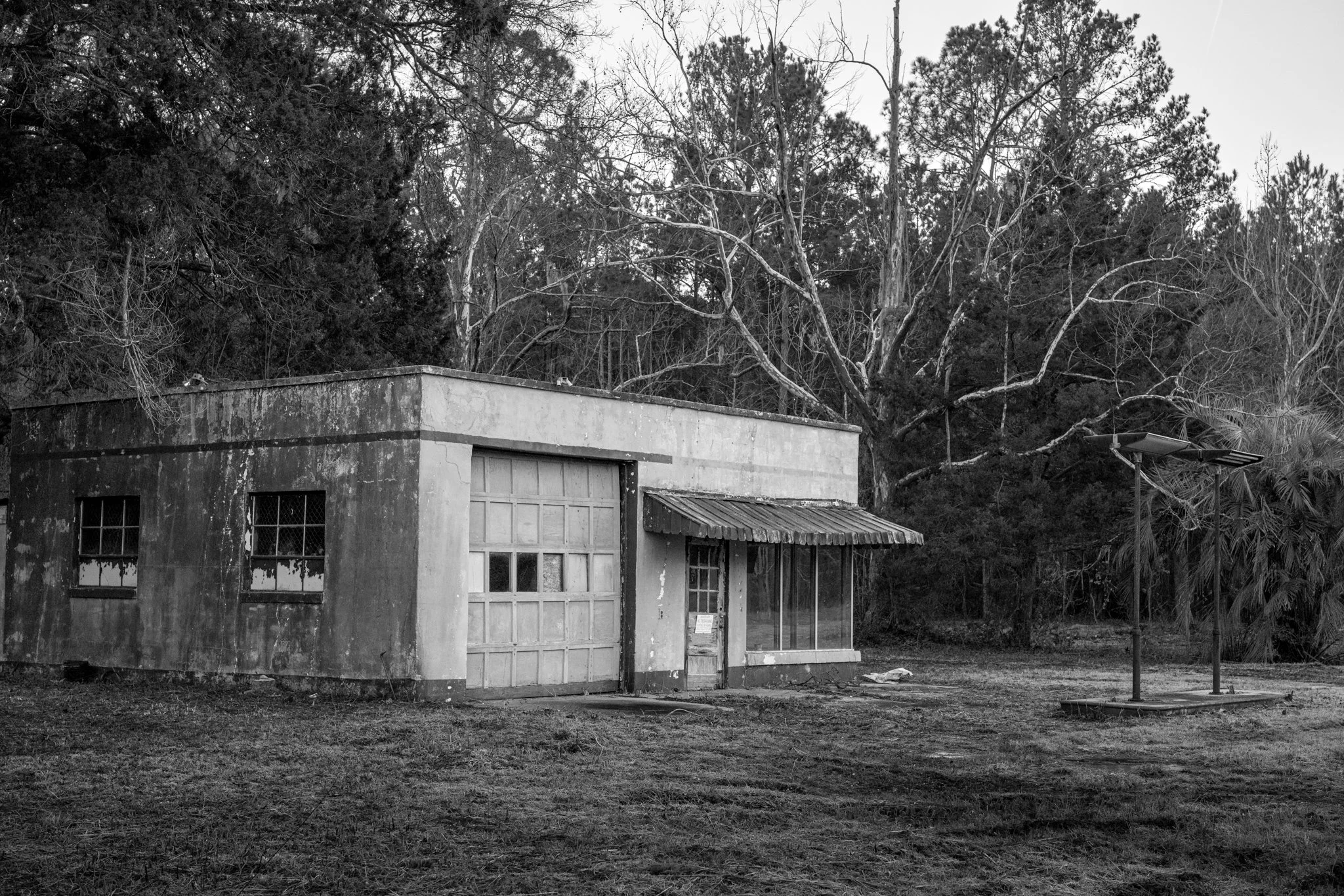 Winter Wander 2026-1100110.jpg