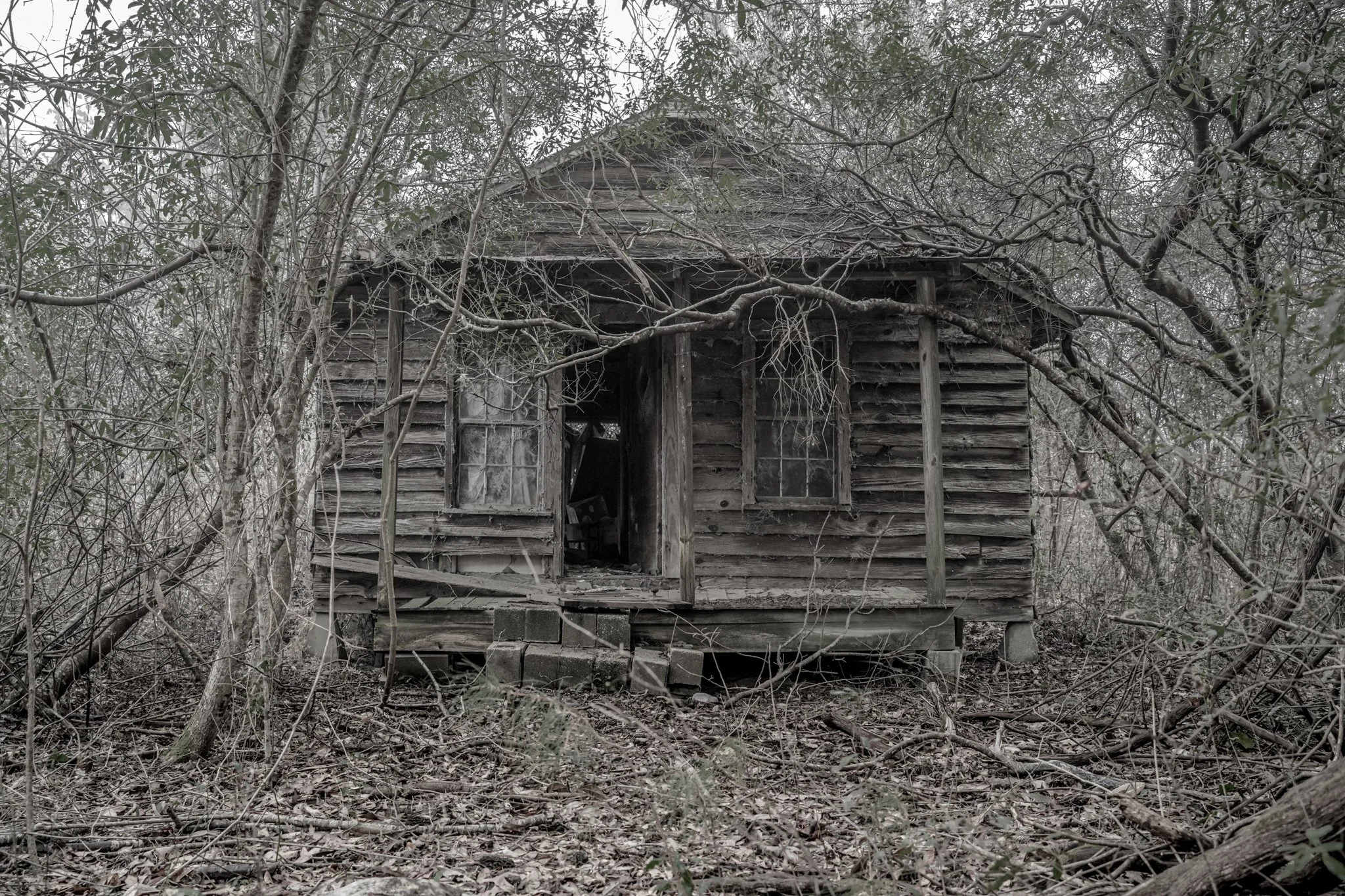 Winter Wander 2026-2390239.jpg