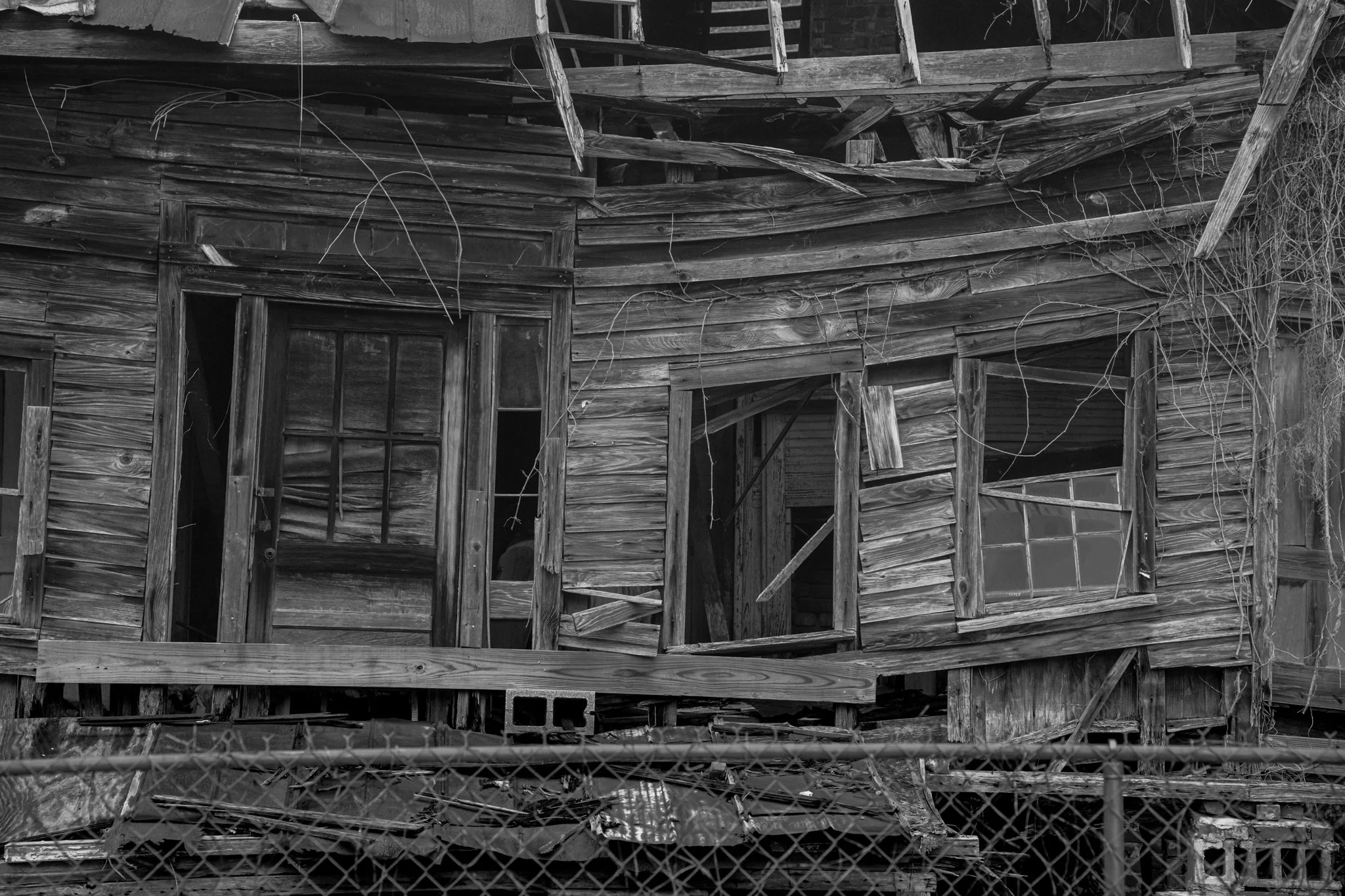 Winter Wander 2026-2780278.jpg