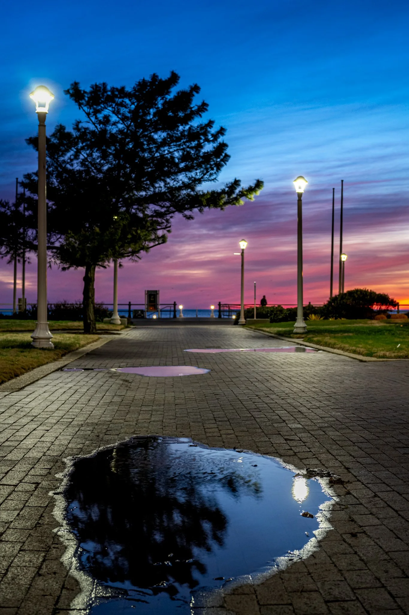 Reflective pause at boardwalk approach