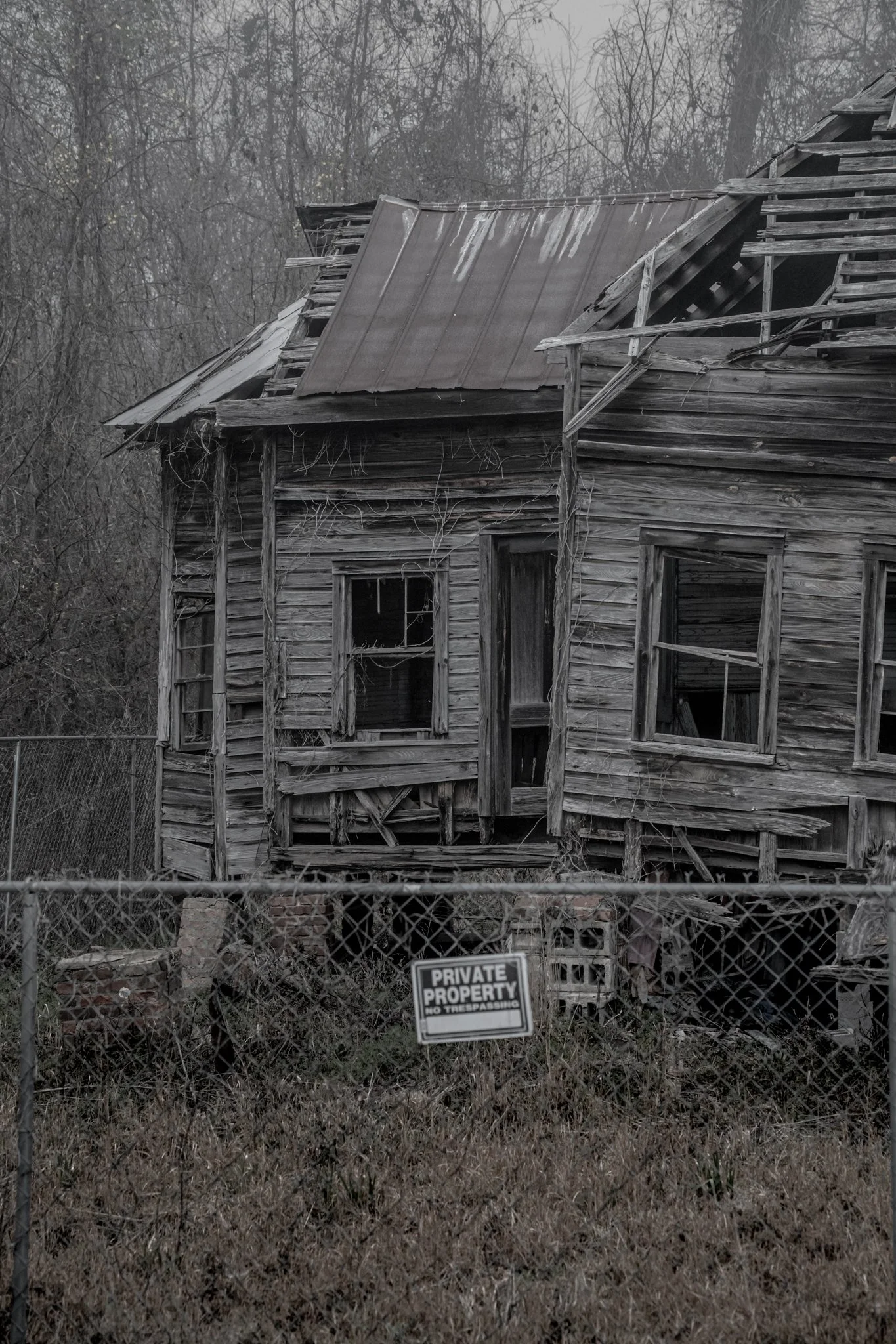 Winter Wander 2026-2580258.jpg