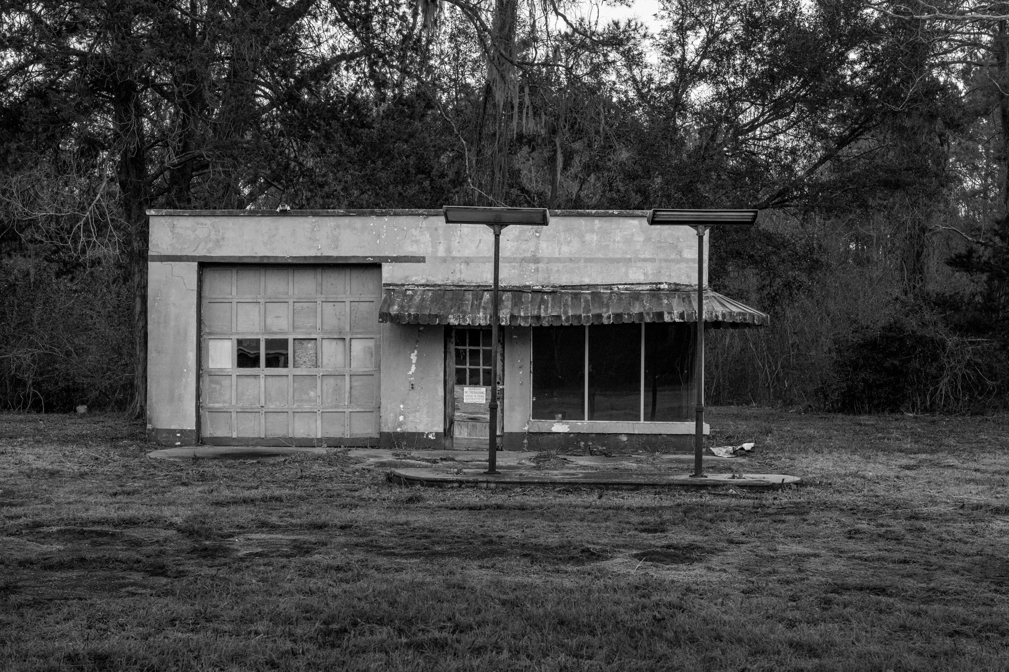 Winter Wander 2026-1070107.jpg