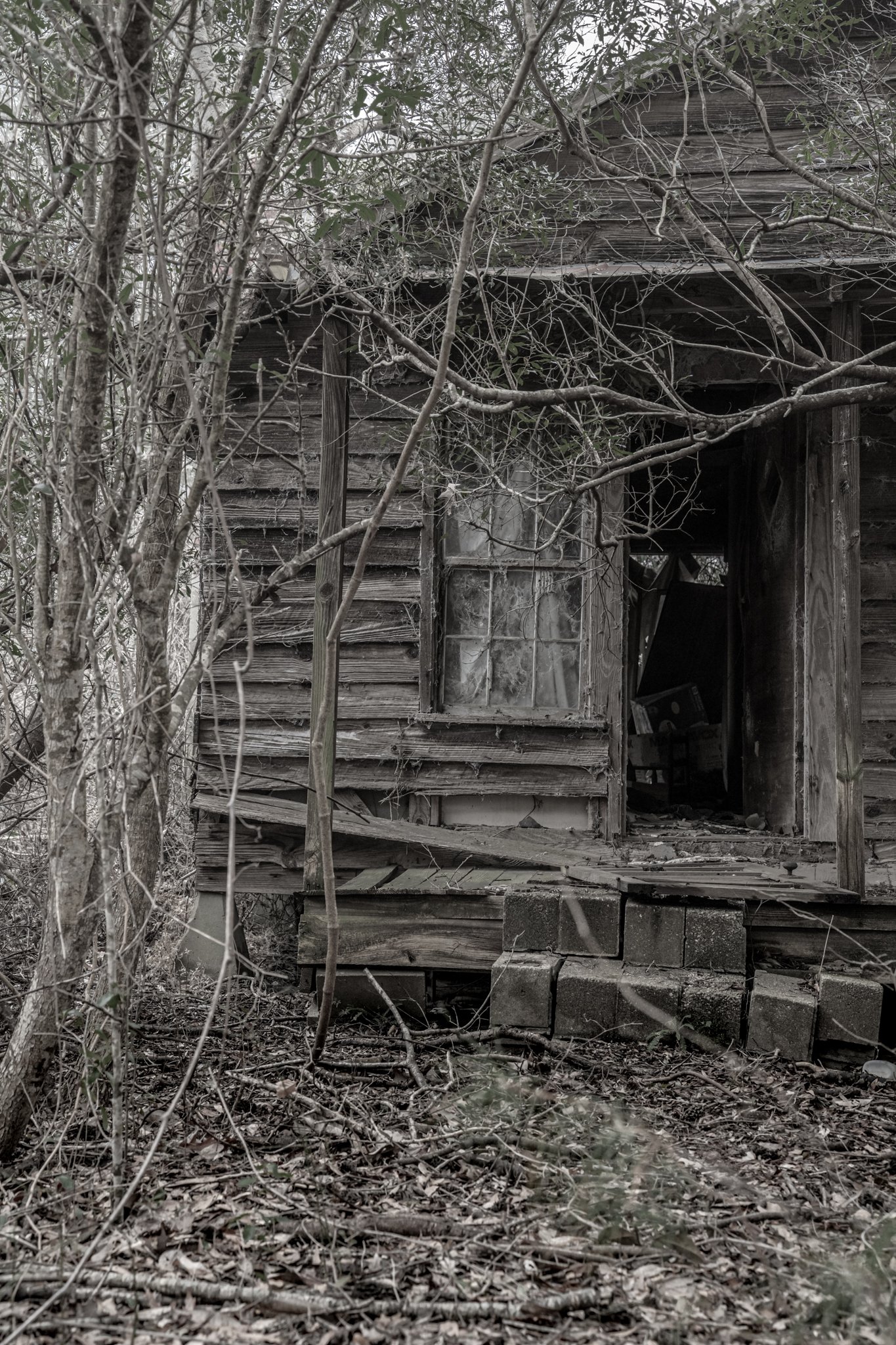 Winter Wander 2026-2410241.jpg