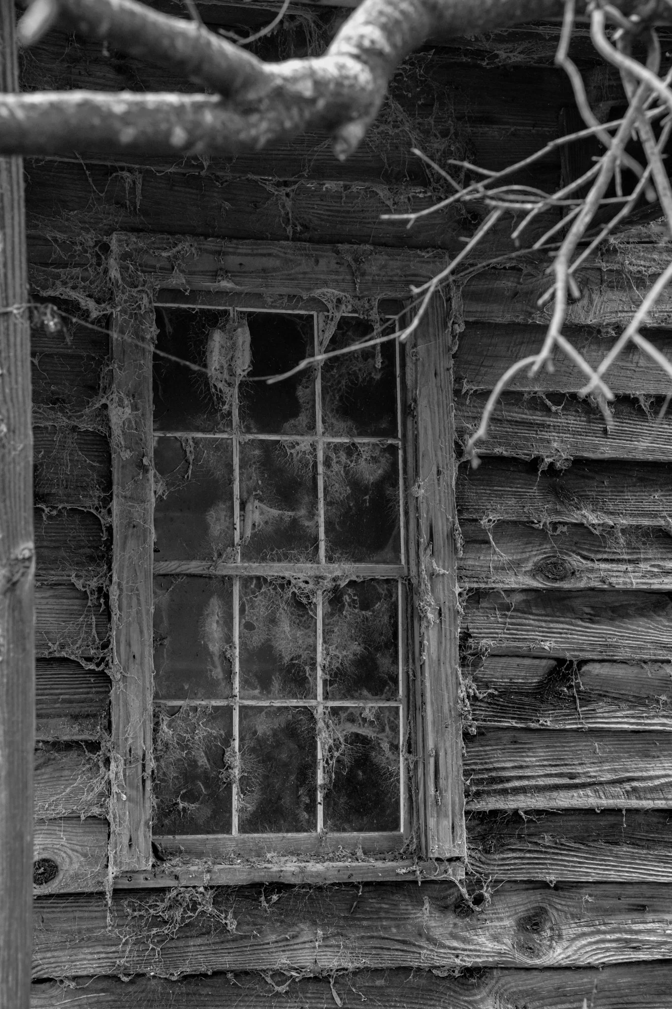 Winter Wander 2026-2510251.jpg