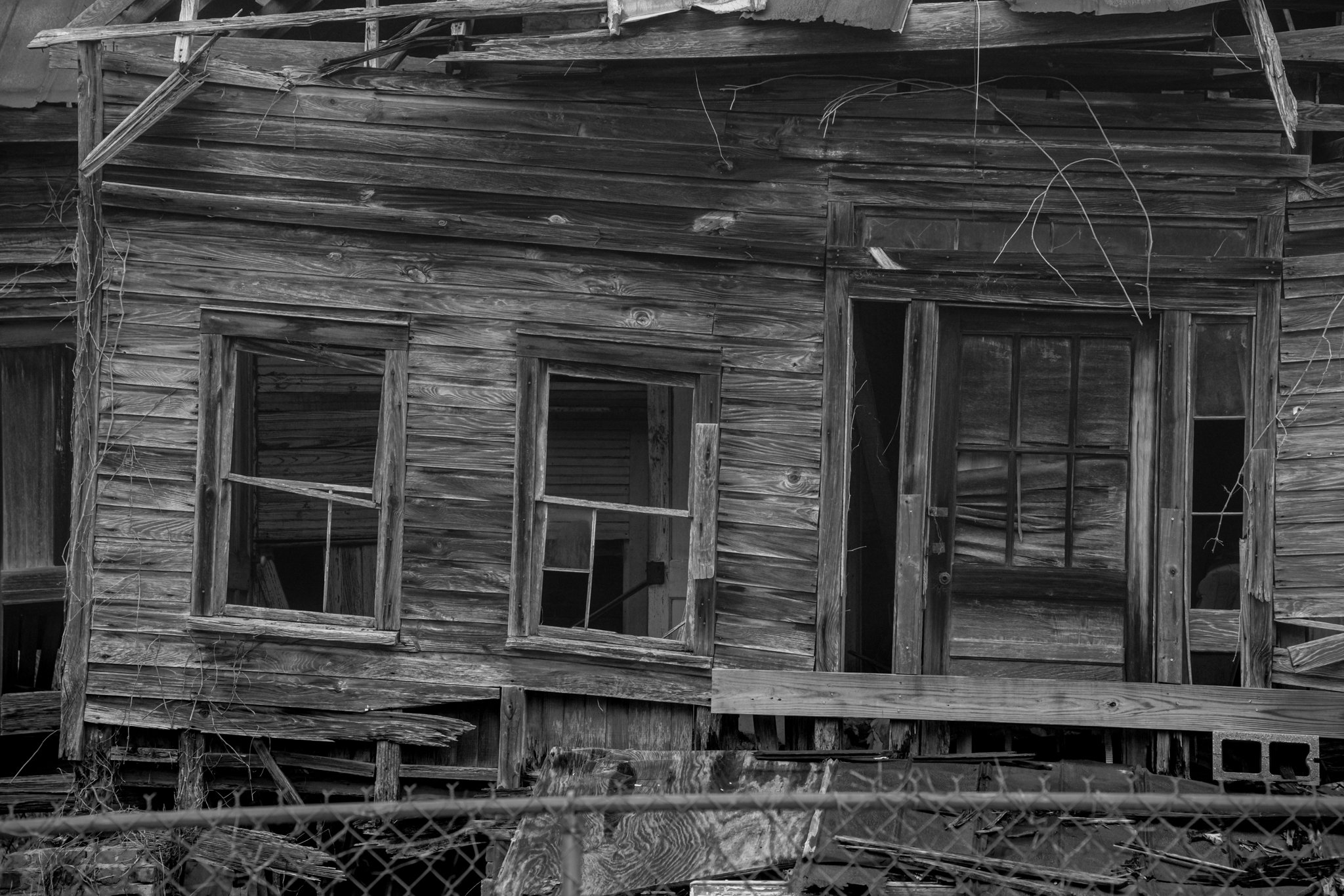 Winter Wander 2026-2770277.jpg