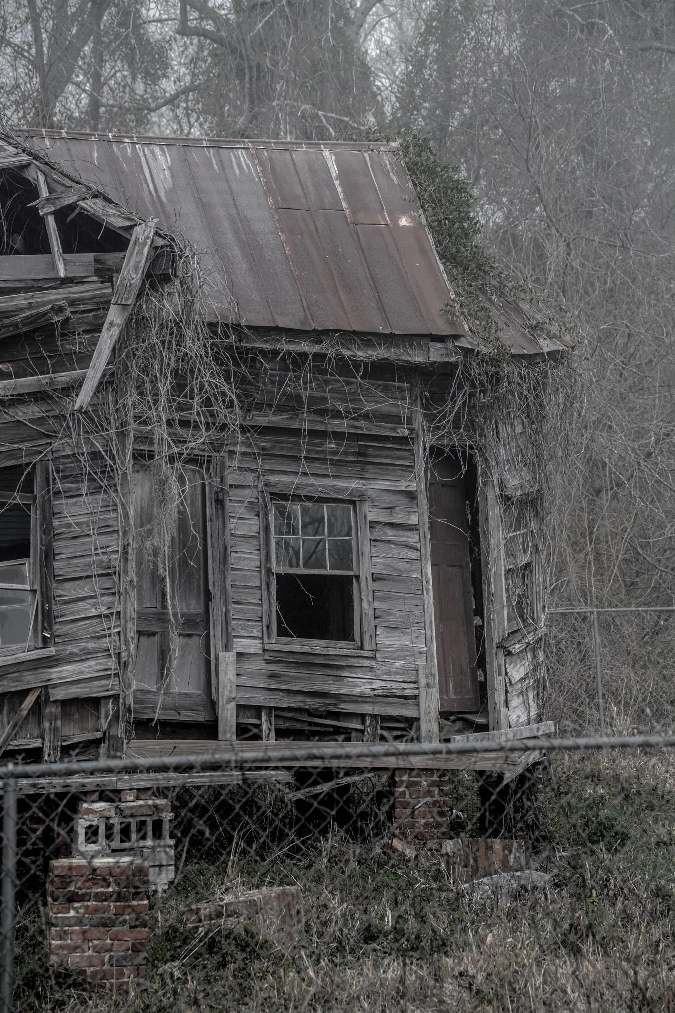 Winter Wander 2026-2730273.jpg