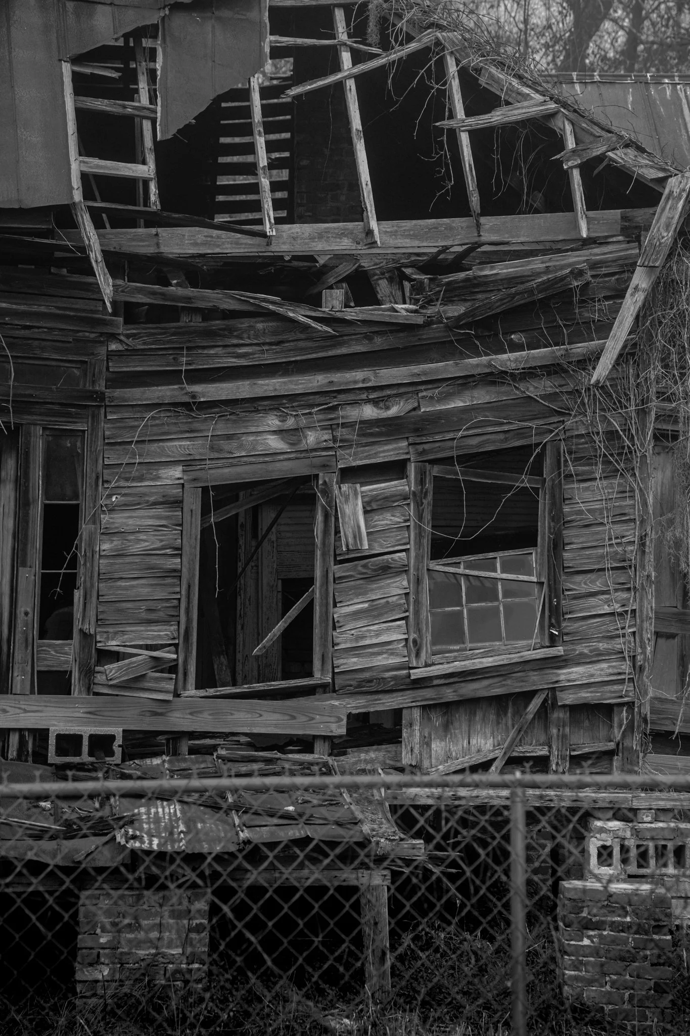 Winter Wander 2026-2650265.jpg