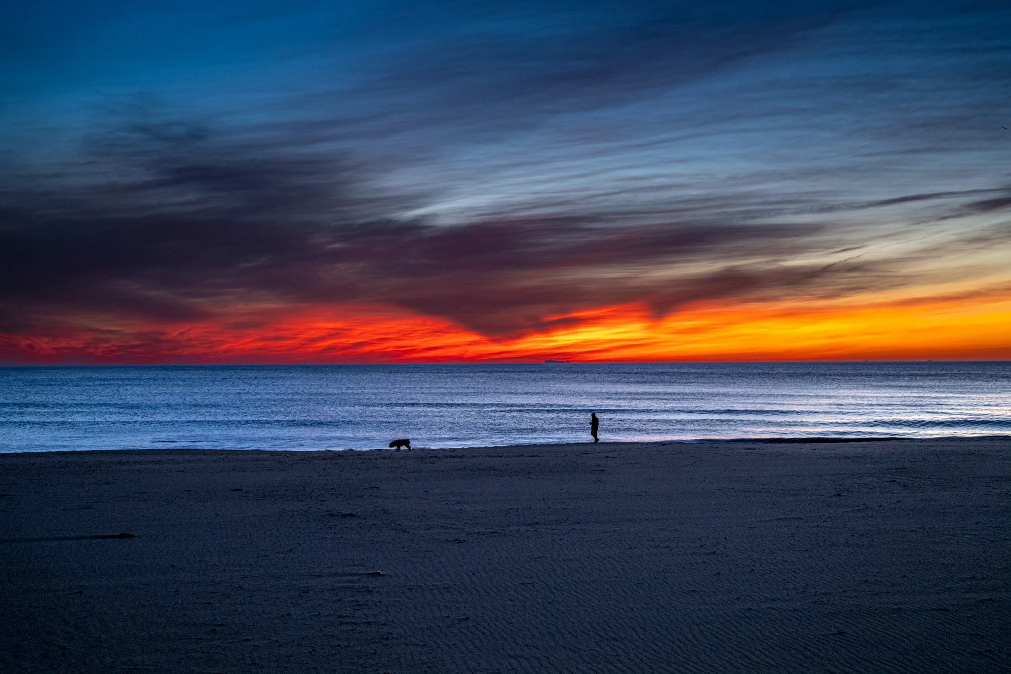 Winter Wander 2026-9750975.jpg