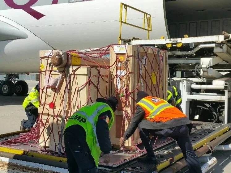 Parking lot with a Mercedes-Benz truck and Hedley's Hampers delivery trucks, with blue sky and industrial warehouse buildings in the background.