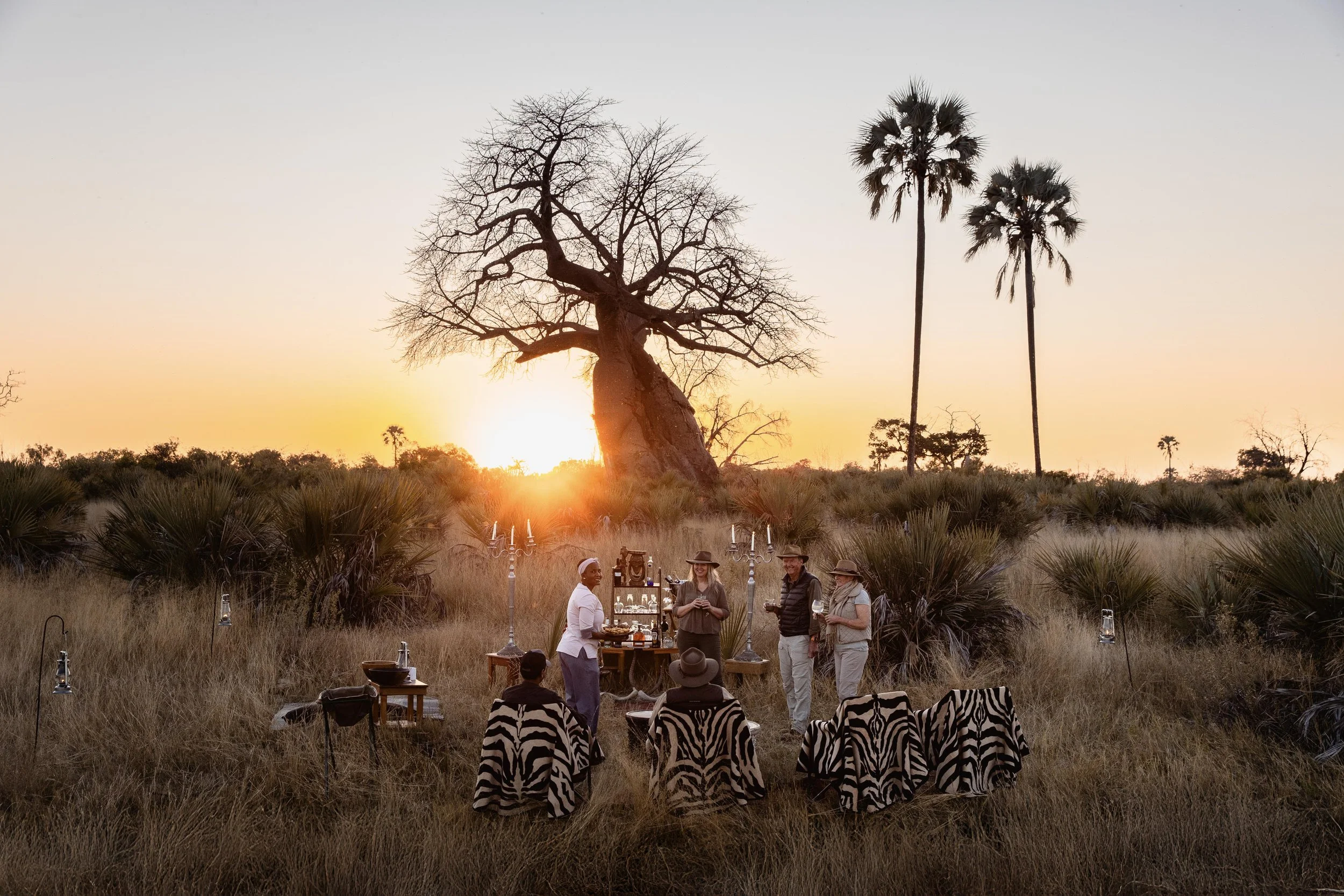 A group of people having an outdoor dinner or gathering in a natural setting at sunset, with a large tree, palm trees, and dry grass.