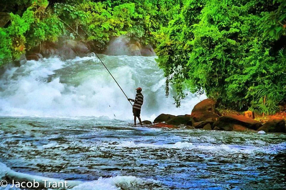 A man standing on rocks in a river, fishing with a rod, with lush green trees and a waterfall in the background.