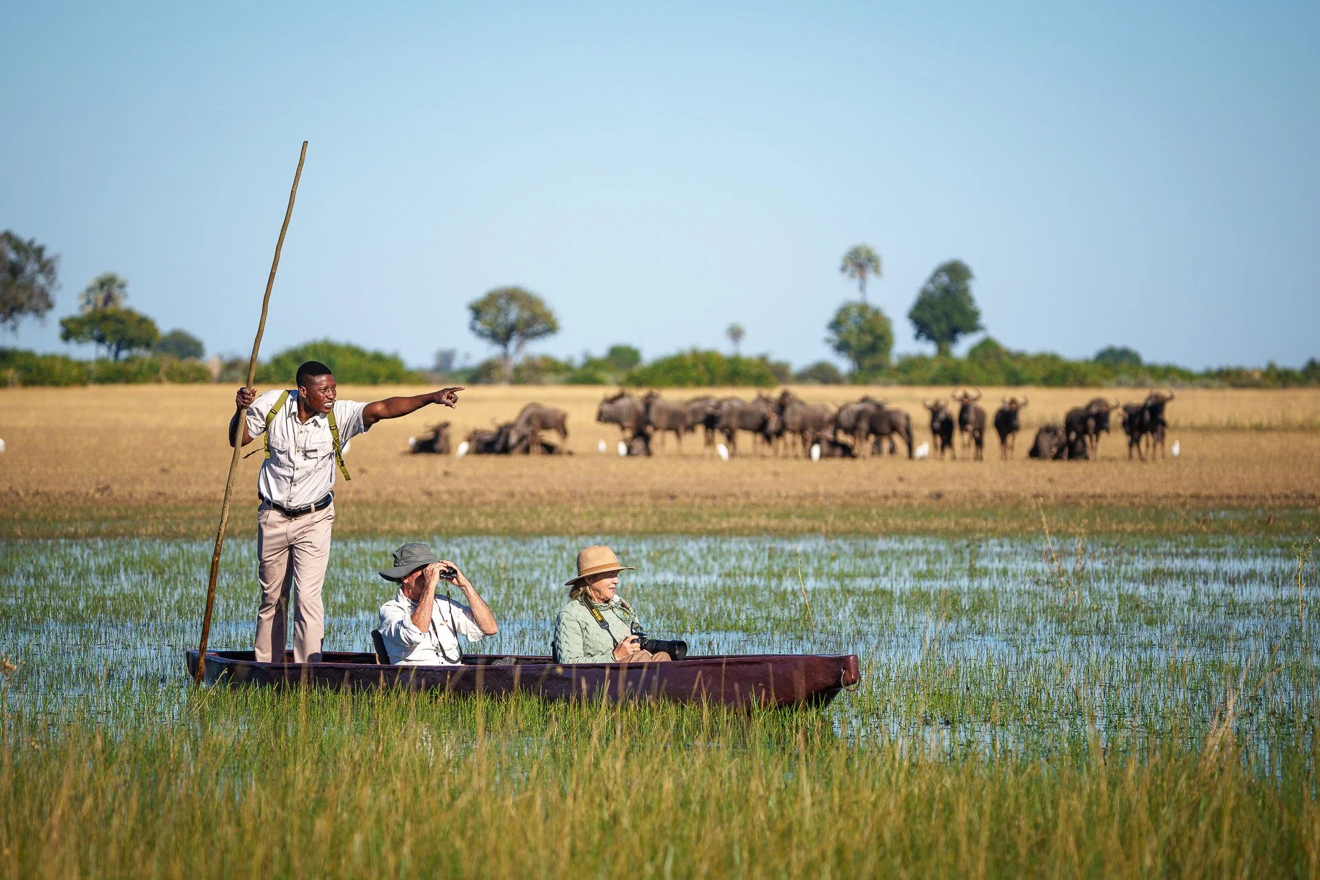 A group of three safari tourists in a boat observing wildlife; one standing and pointing, two sitting with binoculars and a camera, in a grassy wetland with elephants in the background.