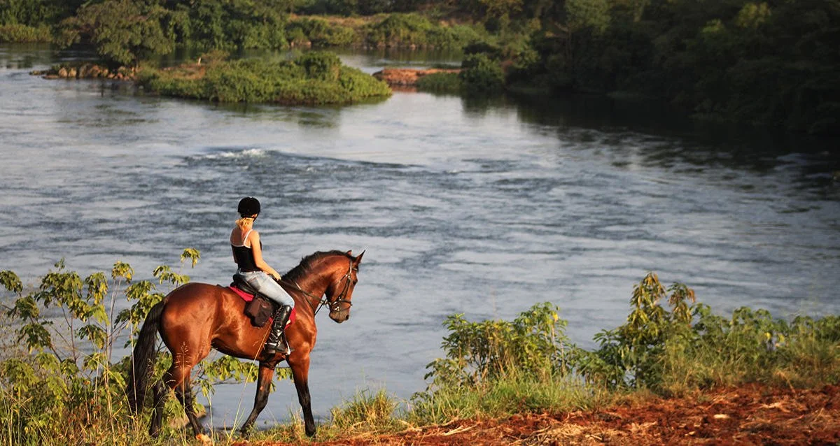 A person riding a horse along a riverbank with lush greenery and water in the background.