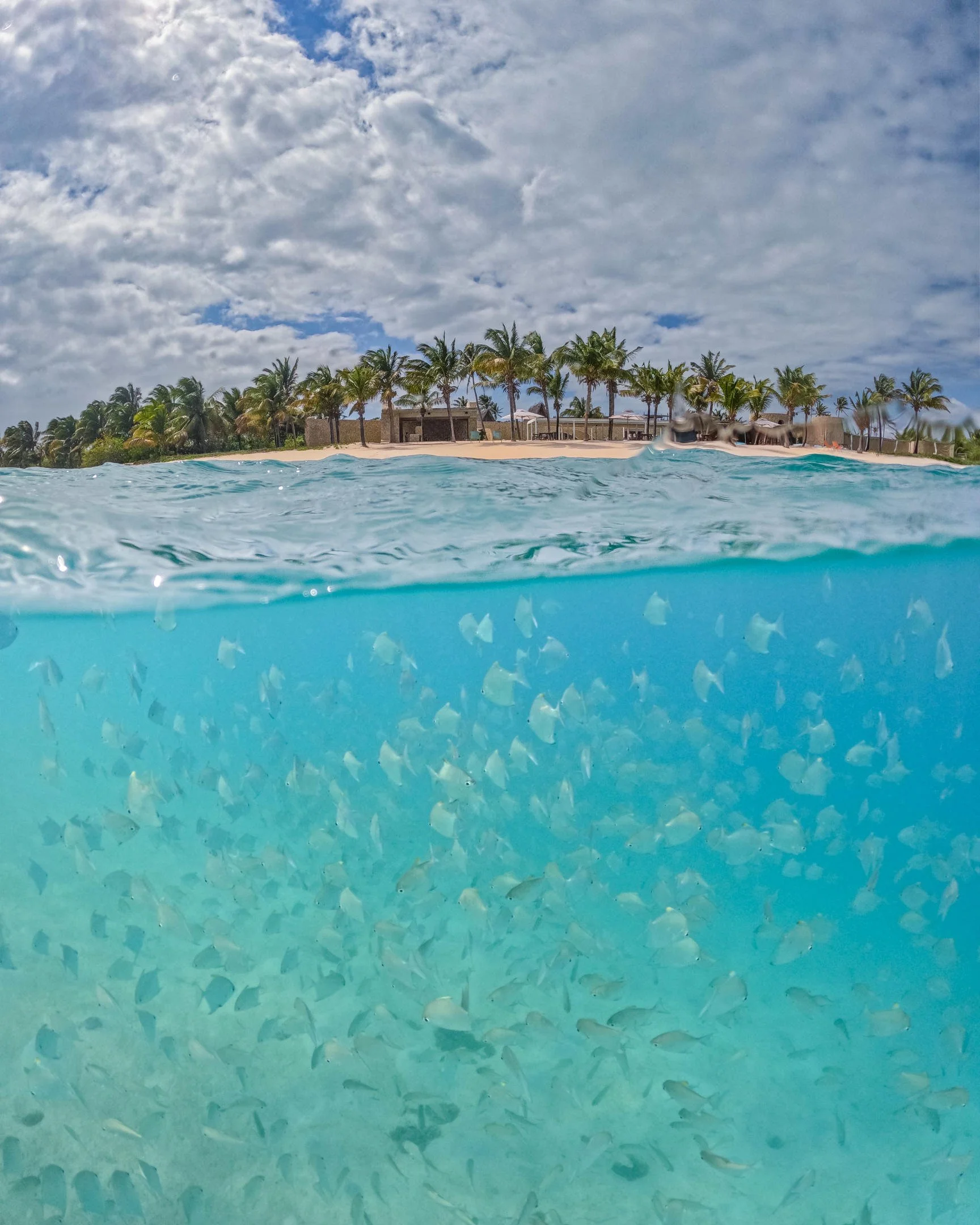 Tropical beach with clear blue water, palm trees, and a cloudy sky.
