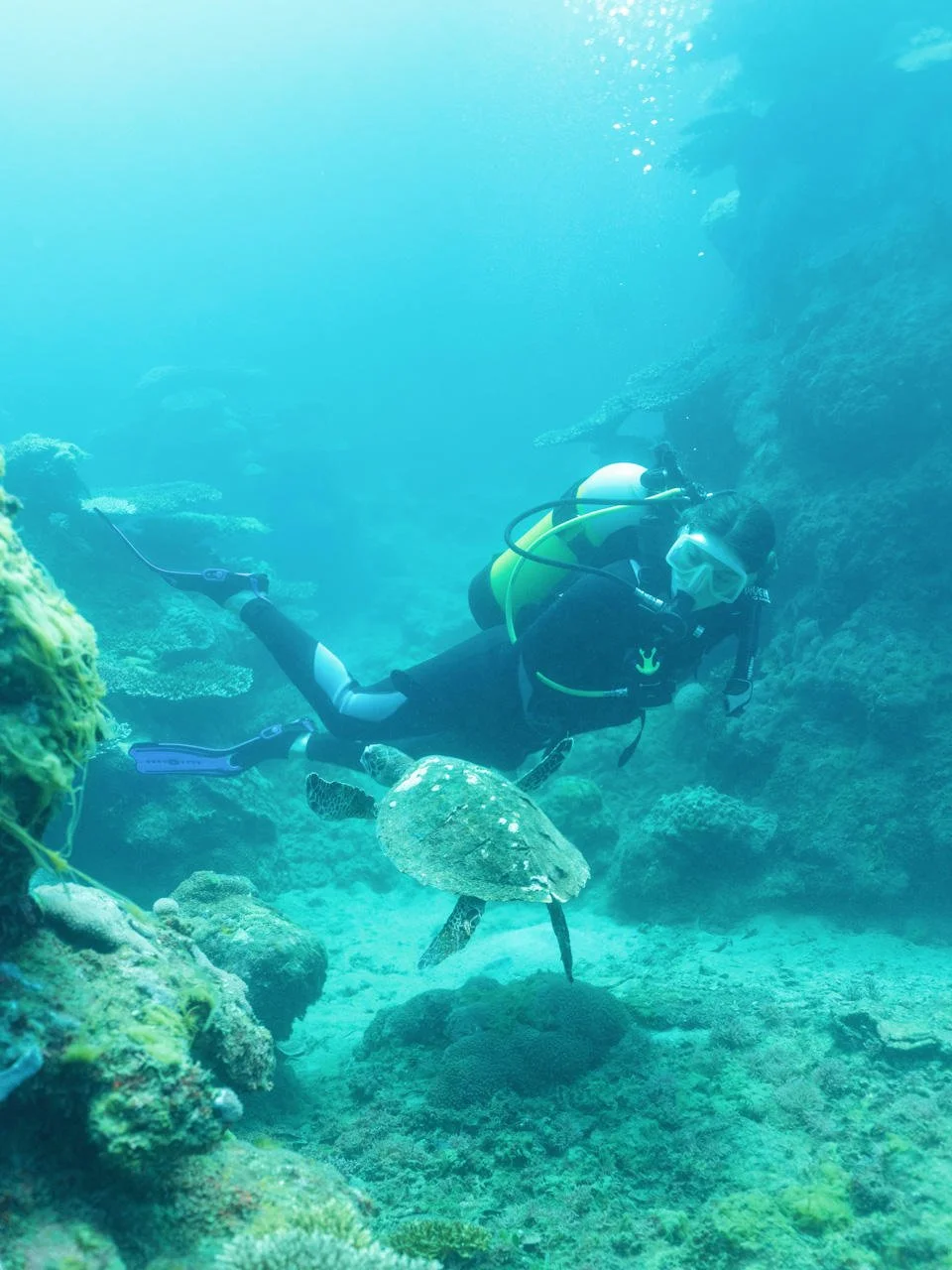 A scuba diver swimming underwater near coral, with a turtle nearby.