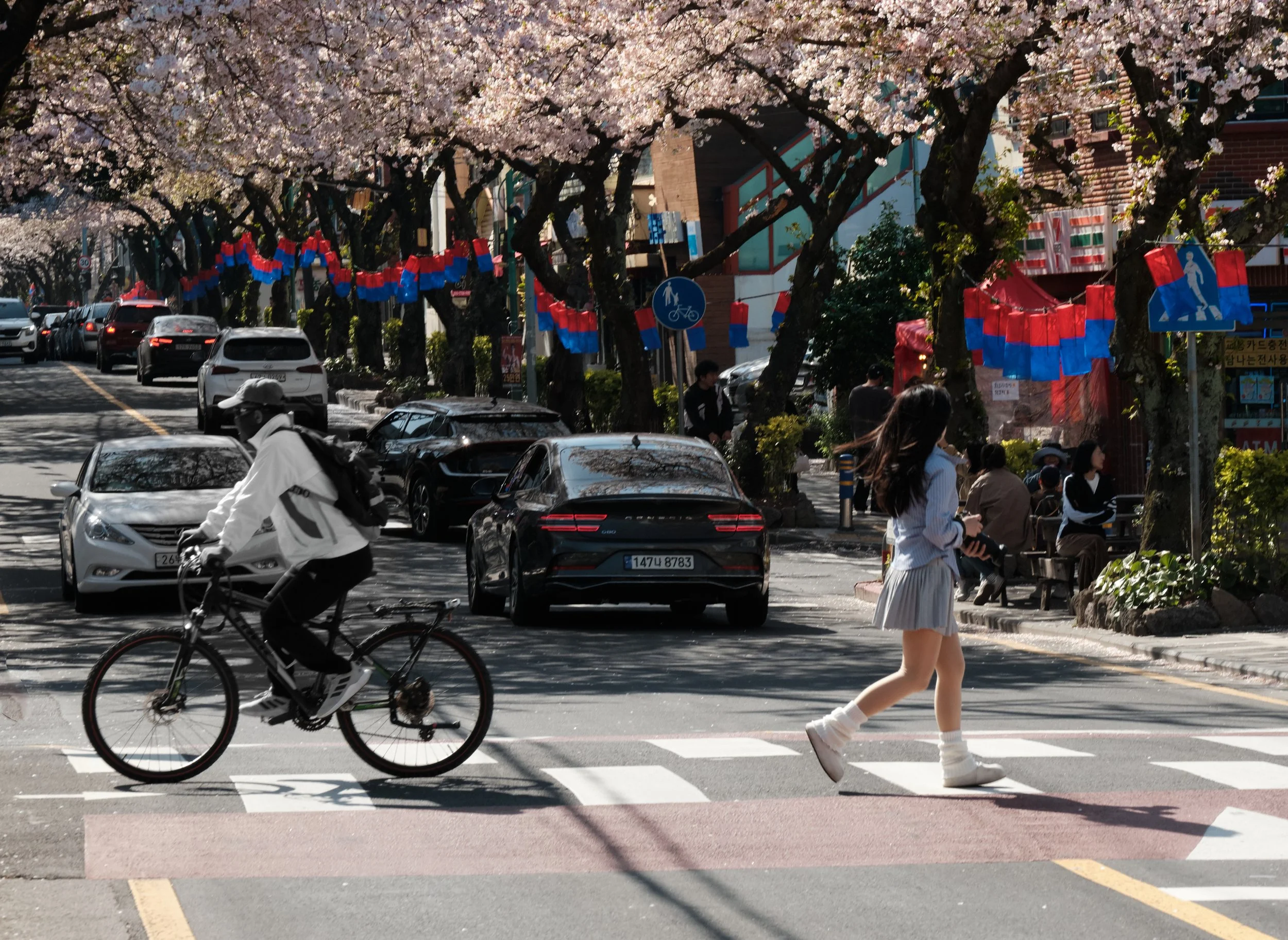 cherry blossom2902.jpeg
