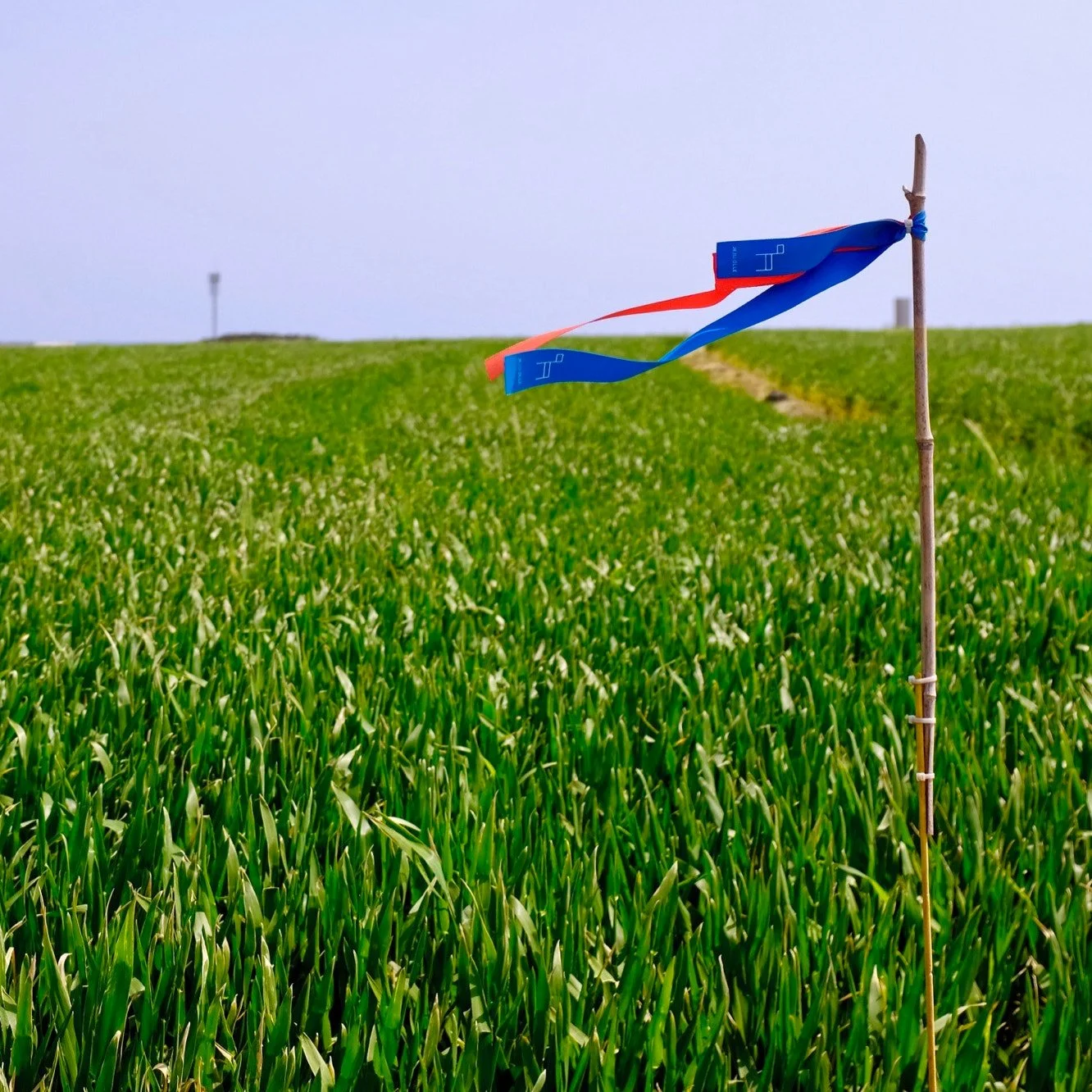 Individual counselling