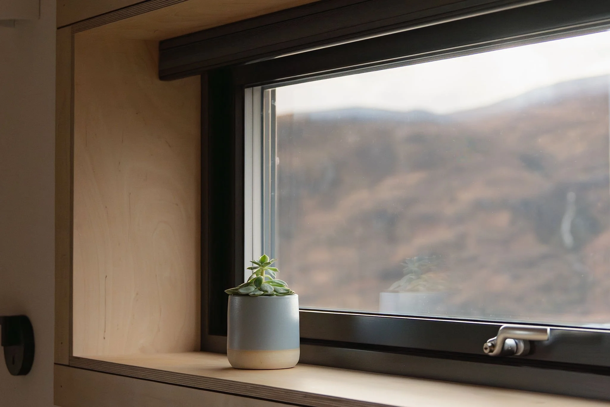 Eine kleine Sukkulente im Topf auf einem Holzregal in der Nähe eines Fensters mit verschwommenem Blick auf die Landschaft