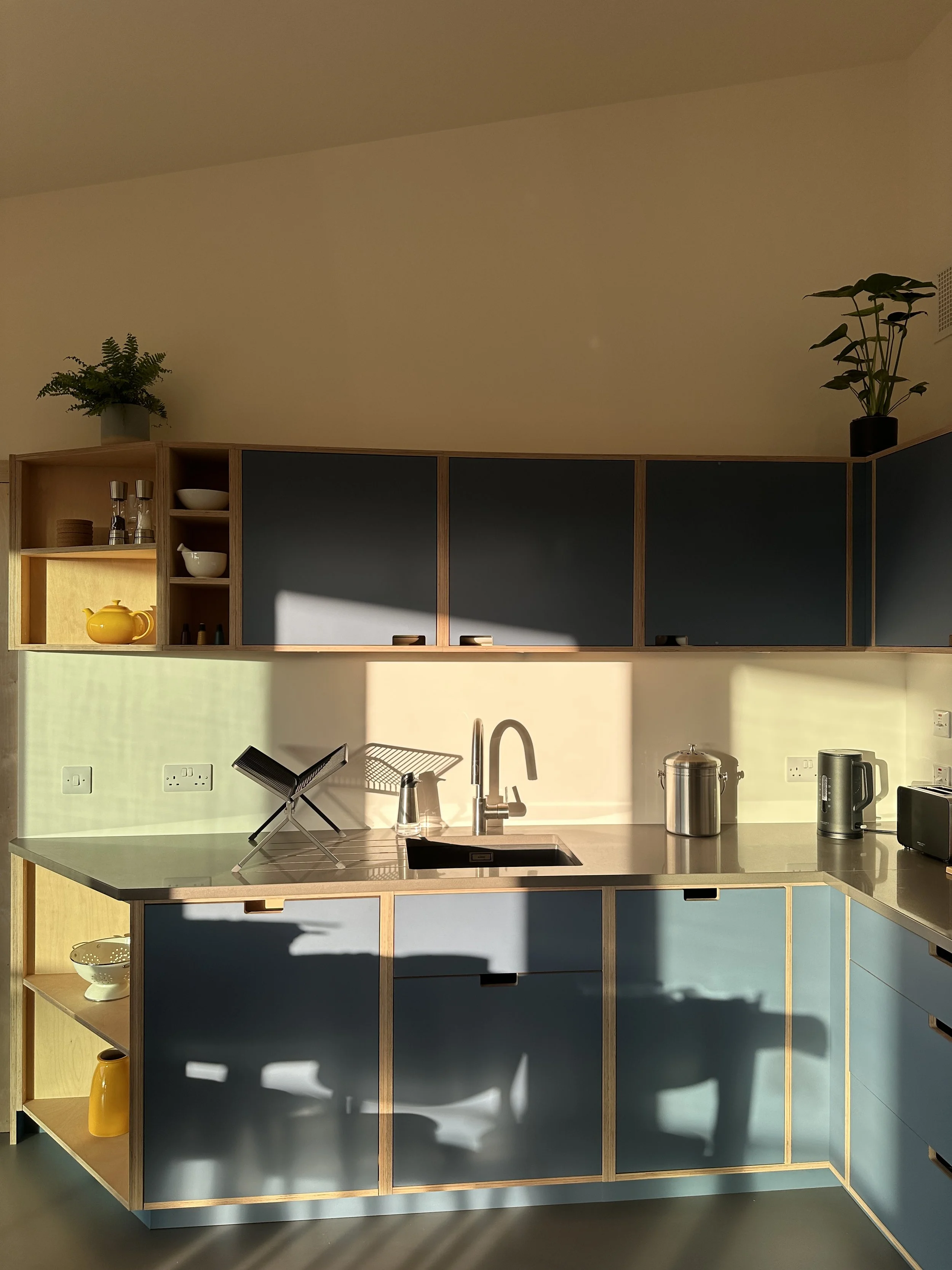 Modern kitchen with cabinetry in shades of blue and wood, sunlight casting shadows, with various kitchen appliances and decorative plants on top cabinets.