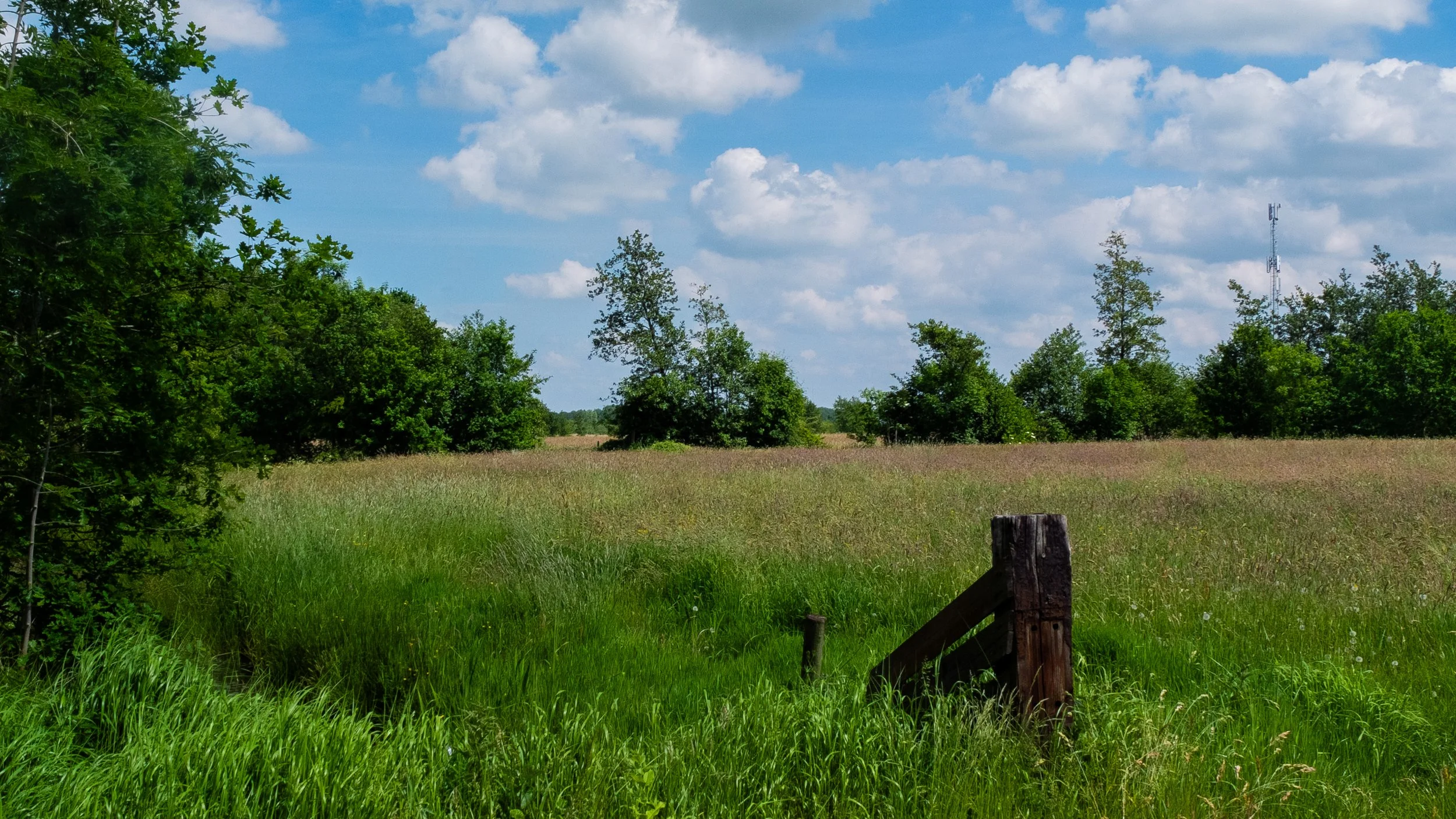 DSCF1768.jpg
