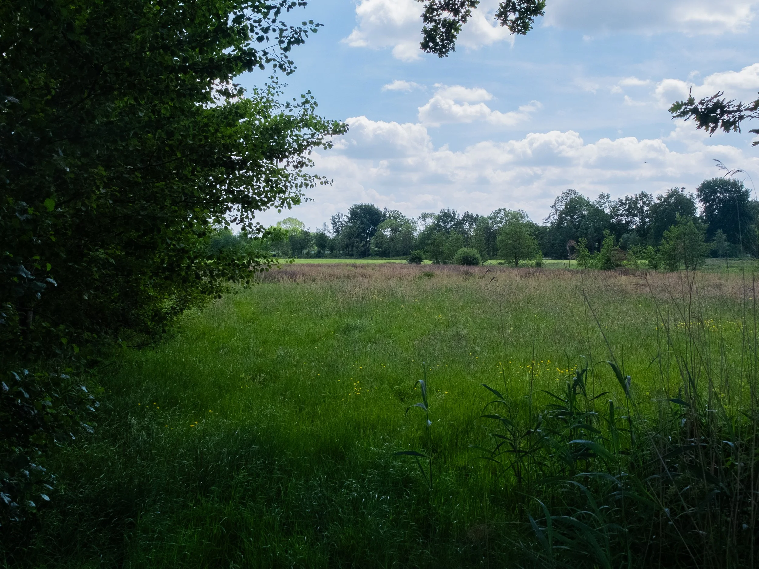 DSCF1775.jpg