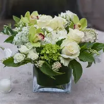 Mad Floral_3.png