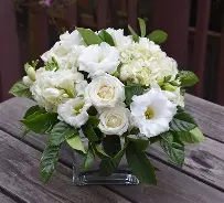 Mad Floral_1.png