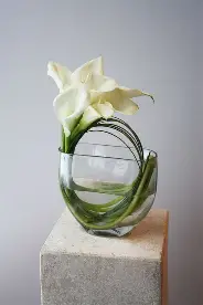 Mad Floral_Cocktails_10.png