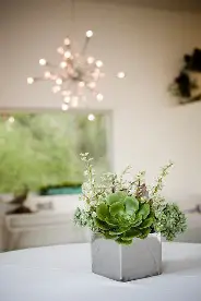 Mad Floral_Cocktails_2.png
