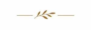 Simple decorative design with a gold leaf branch in the center, flanked by two horizontal gold lines on either side, on a white background.