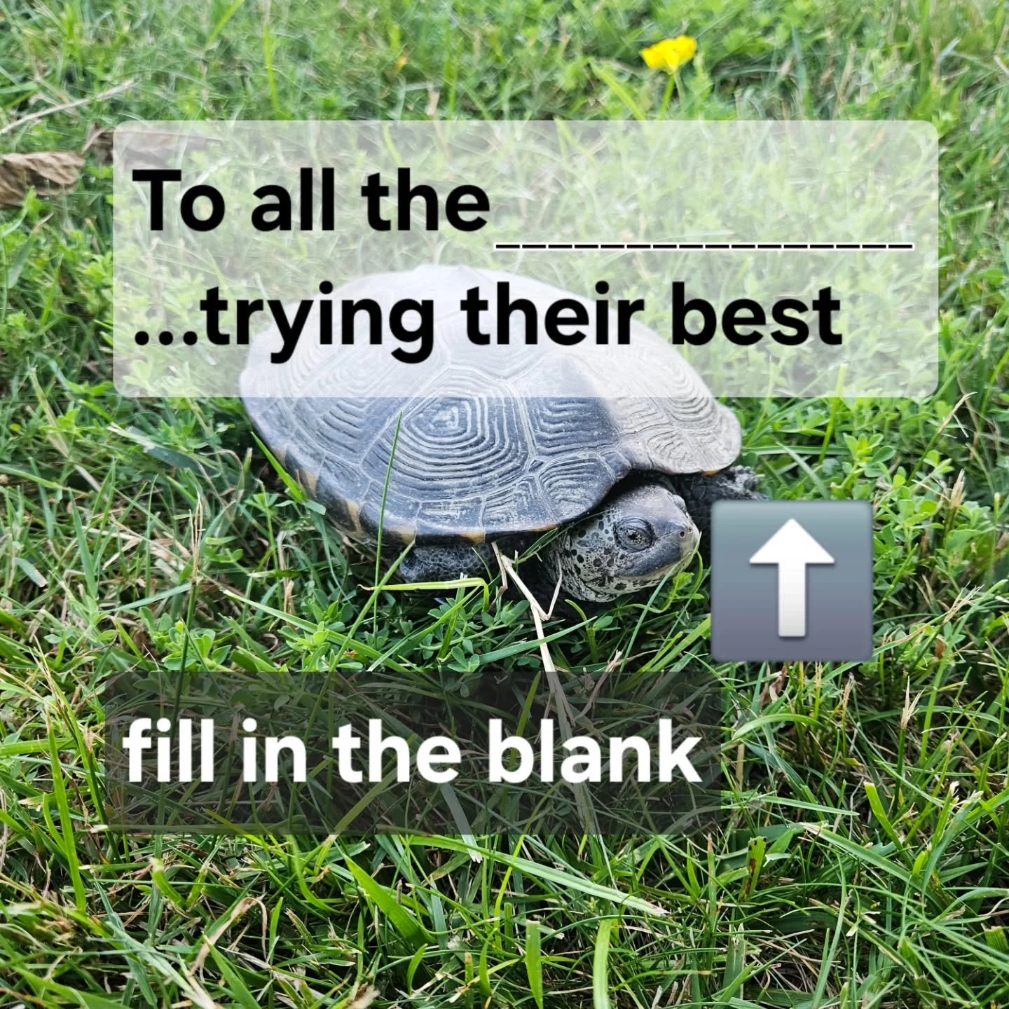 🪨The ones showing up every day, even when it feels heavy. 

🏗The ones putting in effort that no one else notices.

💔The ones who care deeply, even when it would be easier not to.

🫗Struggling doesn&rsquo;t mean you&rsquo;re failing, it often mean