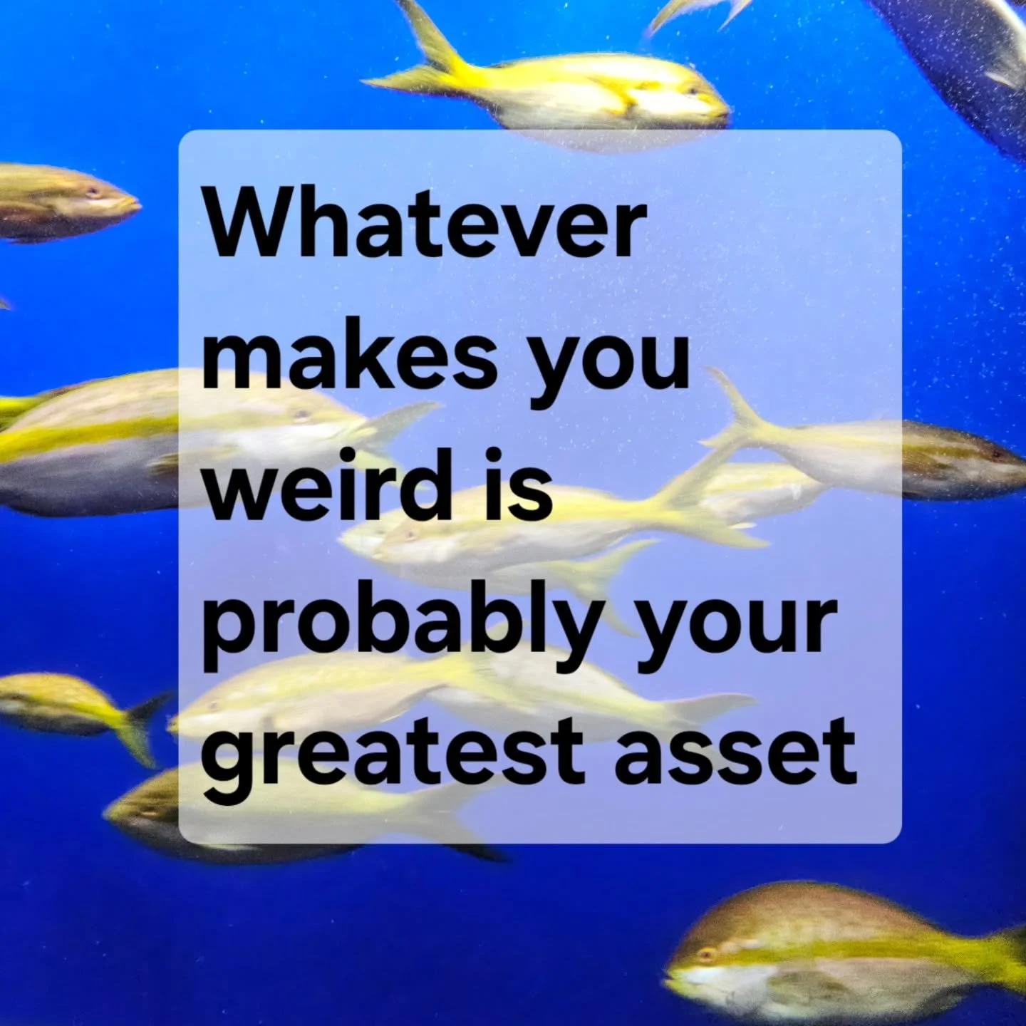 What you&rsquo;ve been calling &ldquo;weird&rdquo; may actually be your edge. ⚡️

Many traits people judge in themselves are simply nervous system patterns and personality tendencies trying to adapt. 🌀Biologically, some brains are wired for higher s