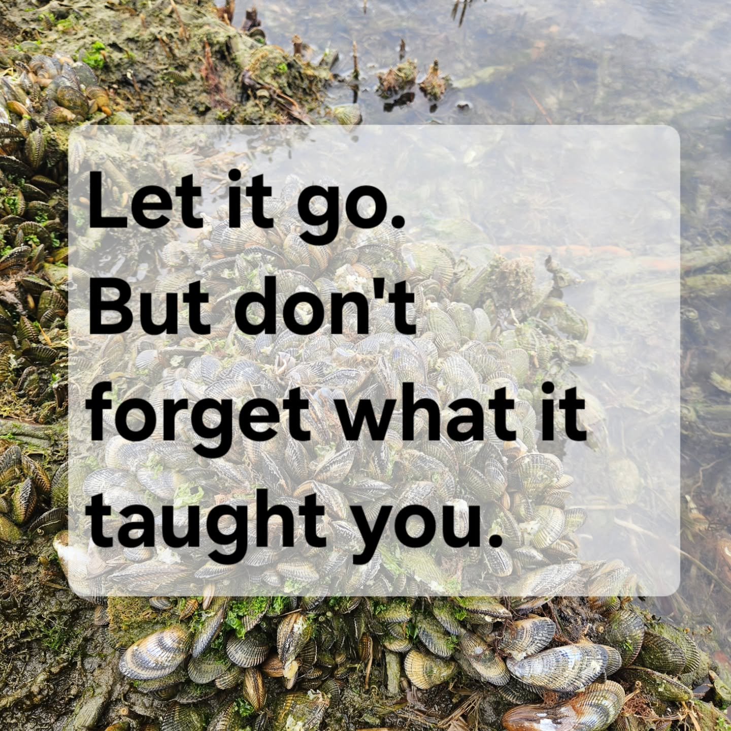 🪨You can respect what struggle taught you without continuing to carry its weight. Emotional flexibility predicts resilience more than emotional hardness.🛟

 🌱Growth is taking the lesson, strengthening from it, and allowing yourself to close the ch