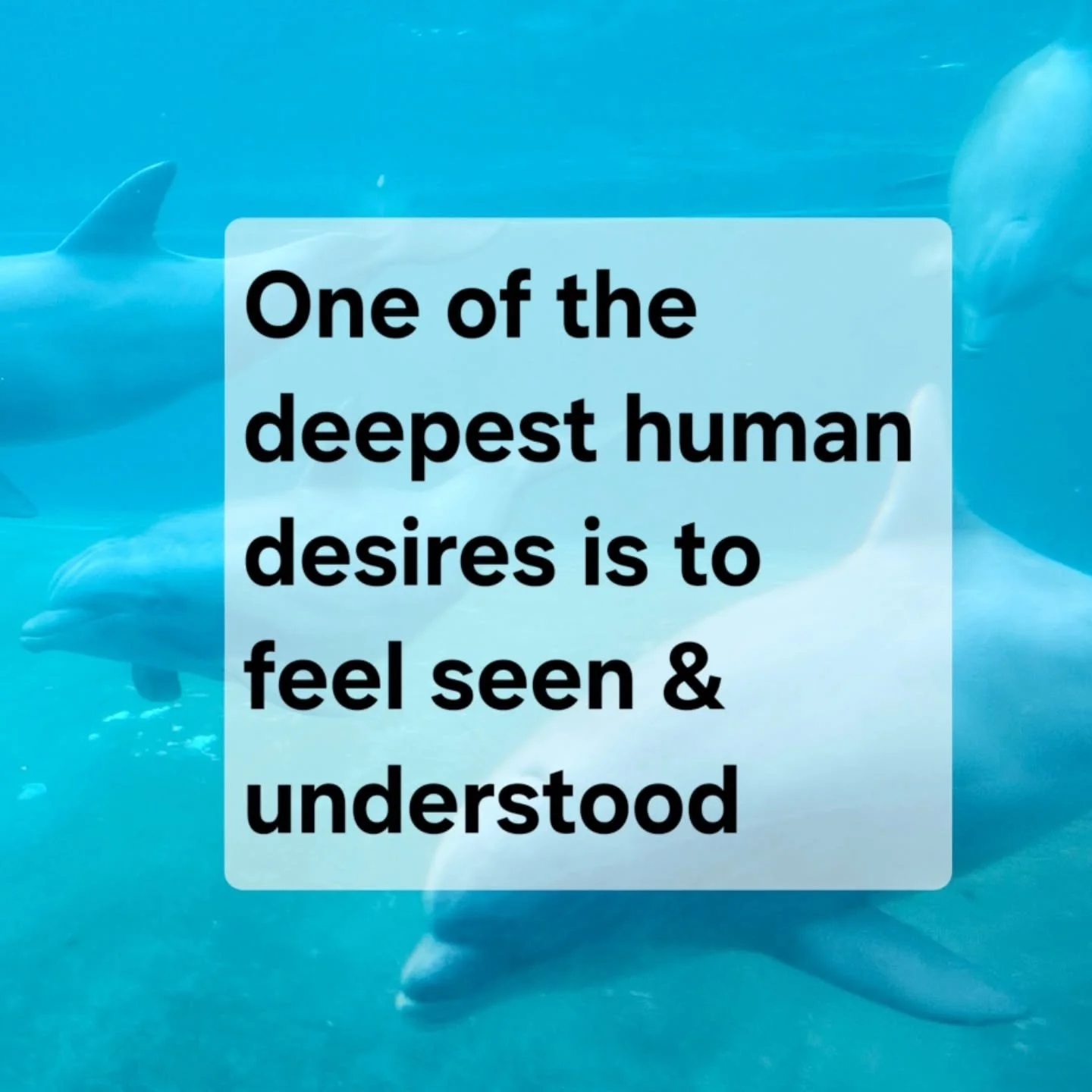 🐬Human beings are neurologically wired for connection, validation, and social understanding.

💬 Research suggests that feeling genuinely heard and emotionally understood is associated with reduced shame, lower stress responses 🚨, increased psychol