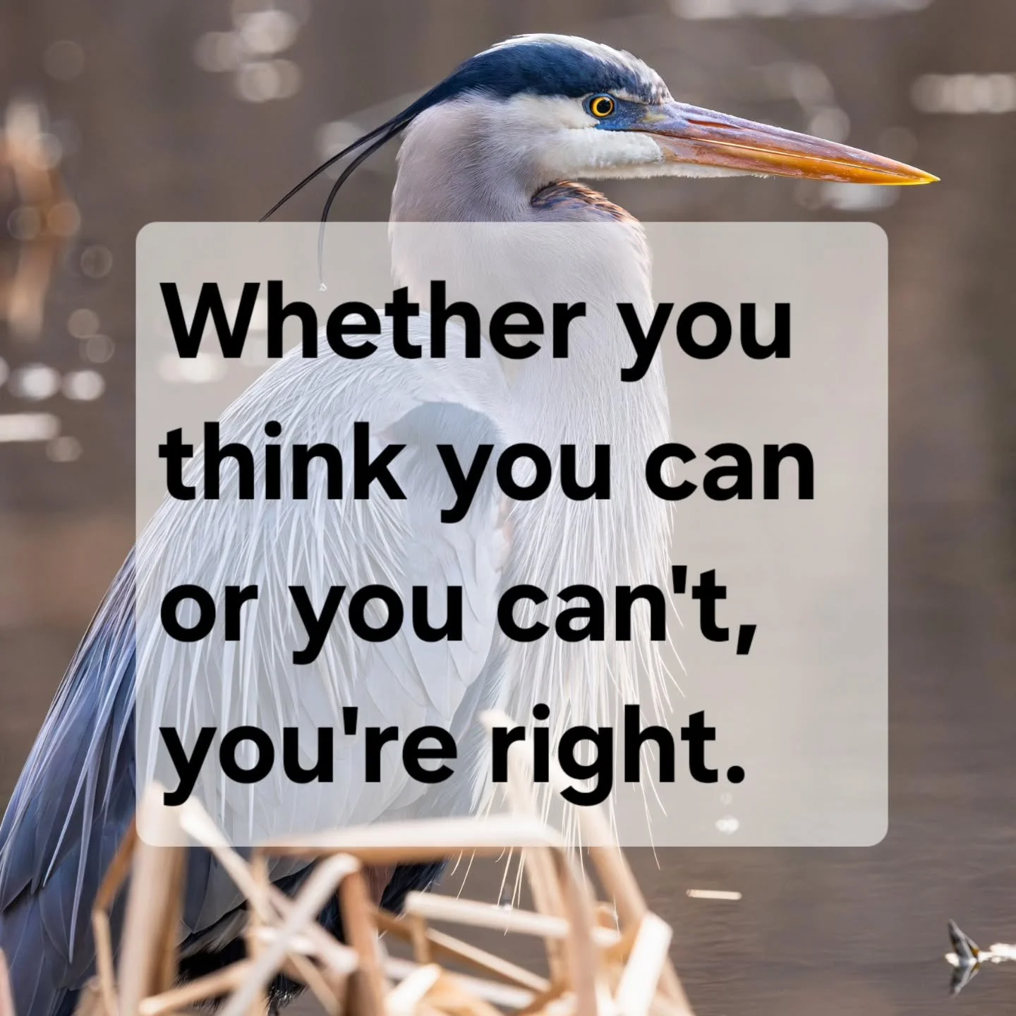 🦅 Most people don't stay stuck because they're incapable. They stay stuck because, at some point, the cage felt safer than the unknown outside of it.

🔒 Over time, habits become identity. Routines become rules. Limiting beliefs become unquestioned 