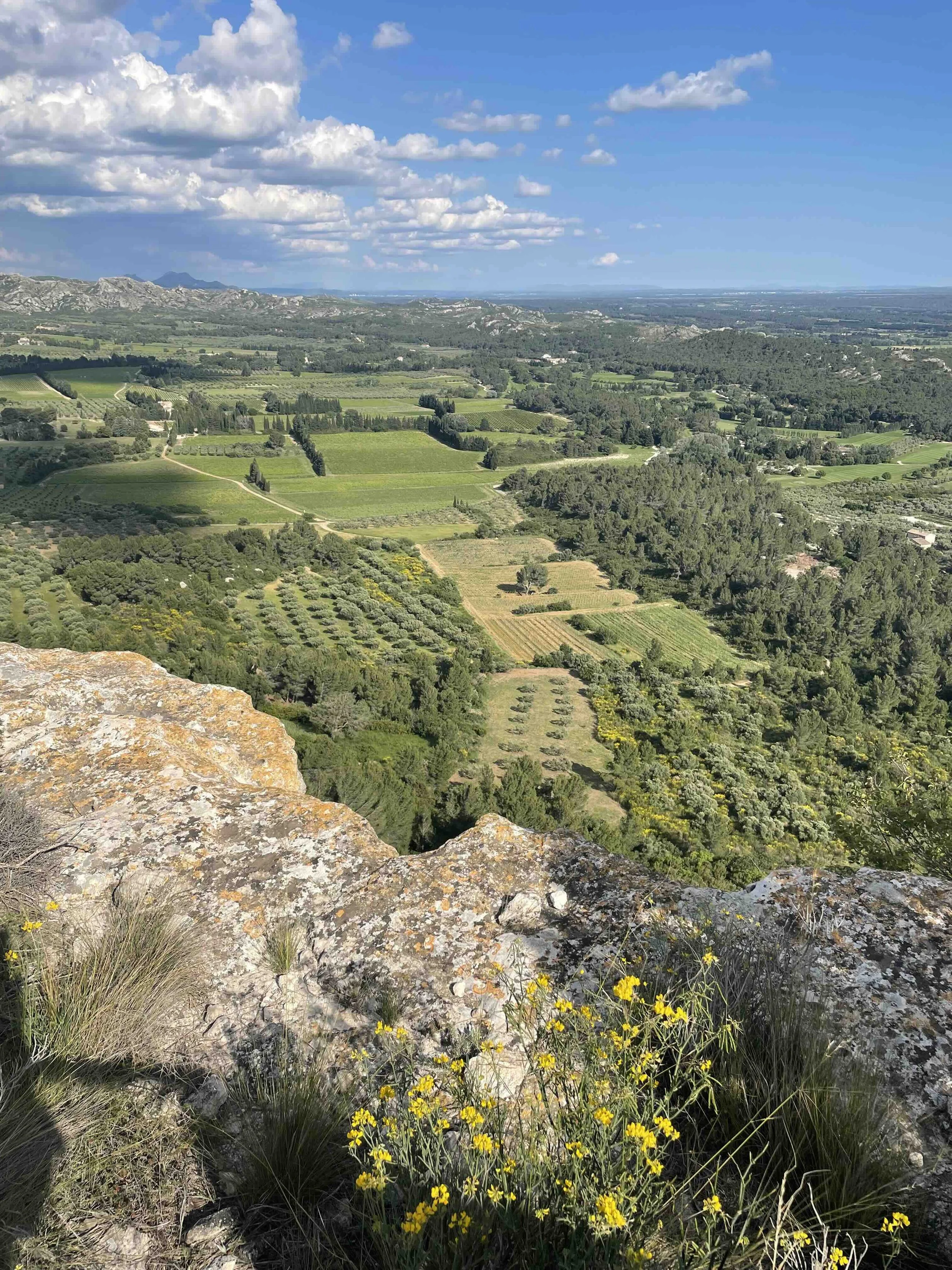 Scenic view of lush green fields, vineyards, forests, and distant mountains under a partly cloudy sky, viewed from a rocky overlook with yellow wildflowers in the foreground.