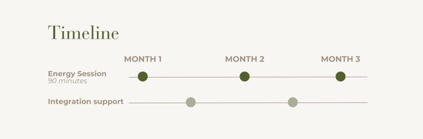 Timeline chart displaying three months with energy sessions and integration support activities scheduled across months one, two, and three.