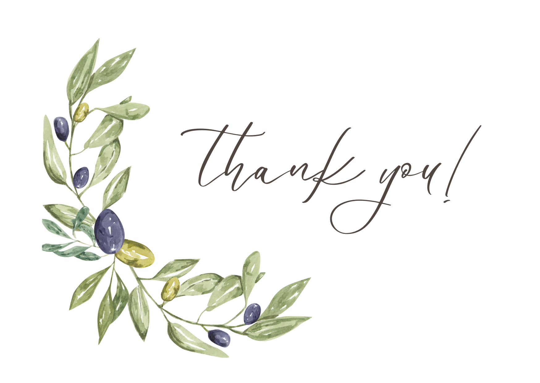 Thank you card with watercolor olive branch and black and green olives on the left, and 'thank you!' written in cursive on the right.