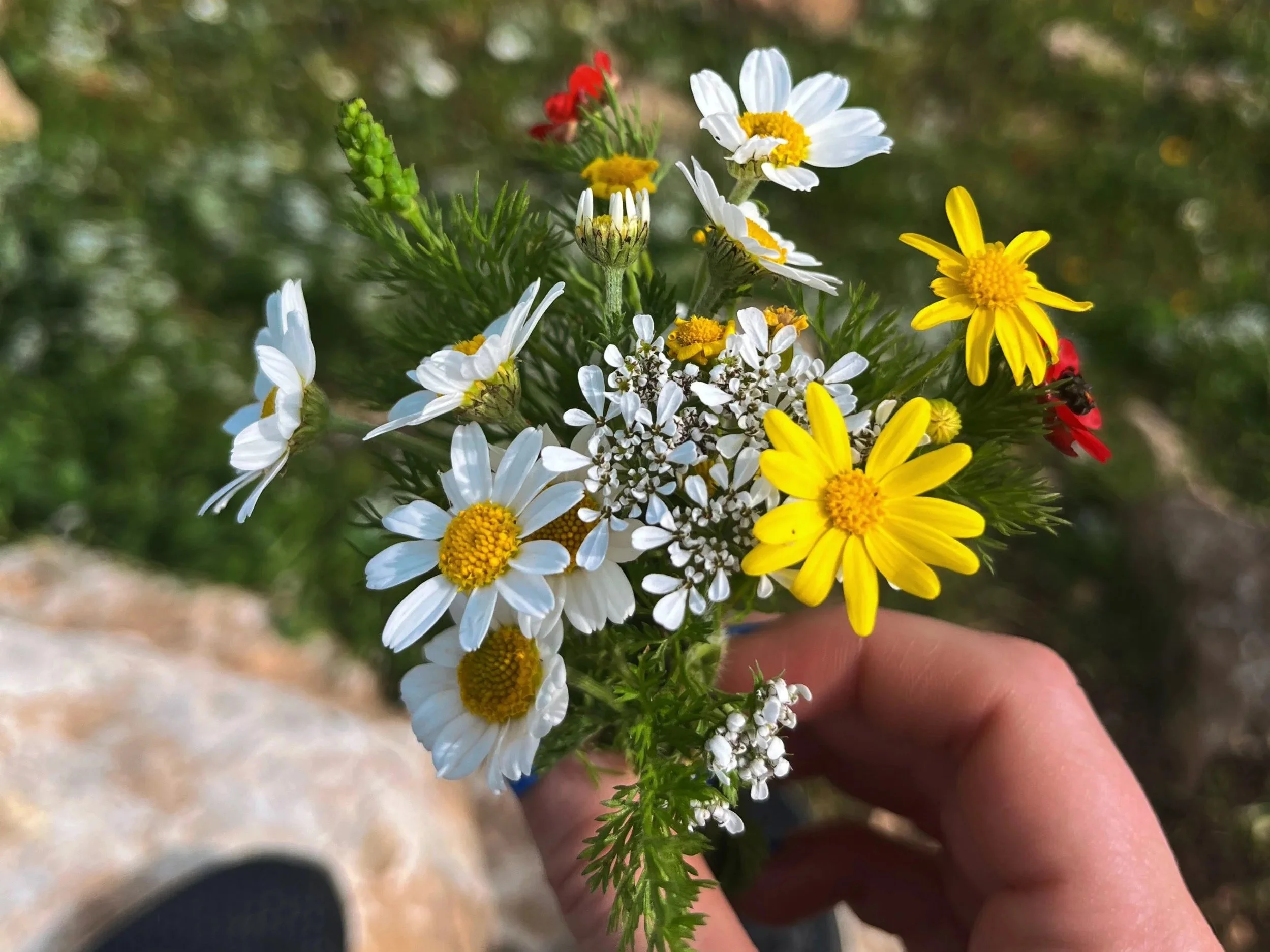 Growing Together: Summer Camp 2023